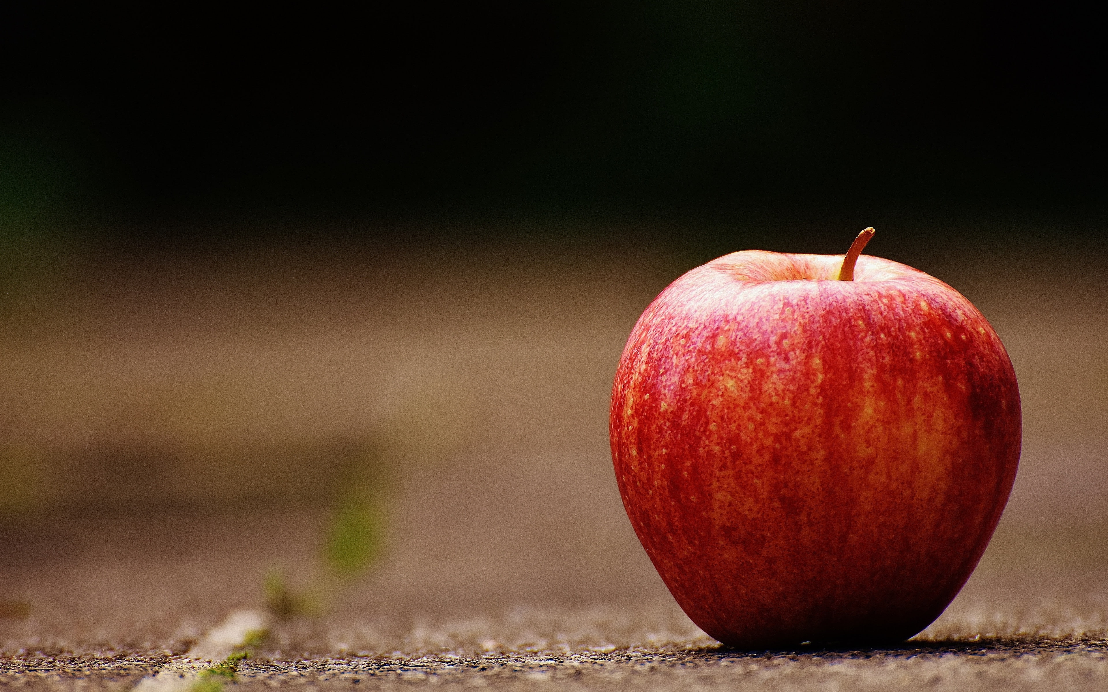 Обои обои apple красное яблоко фрукты на рабочий стол