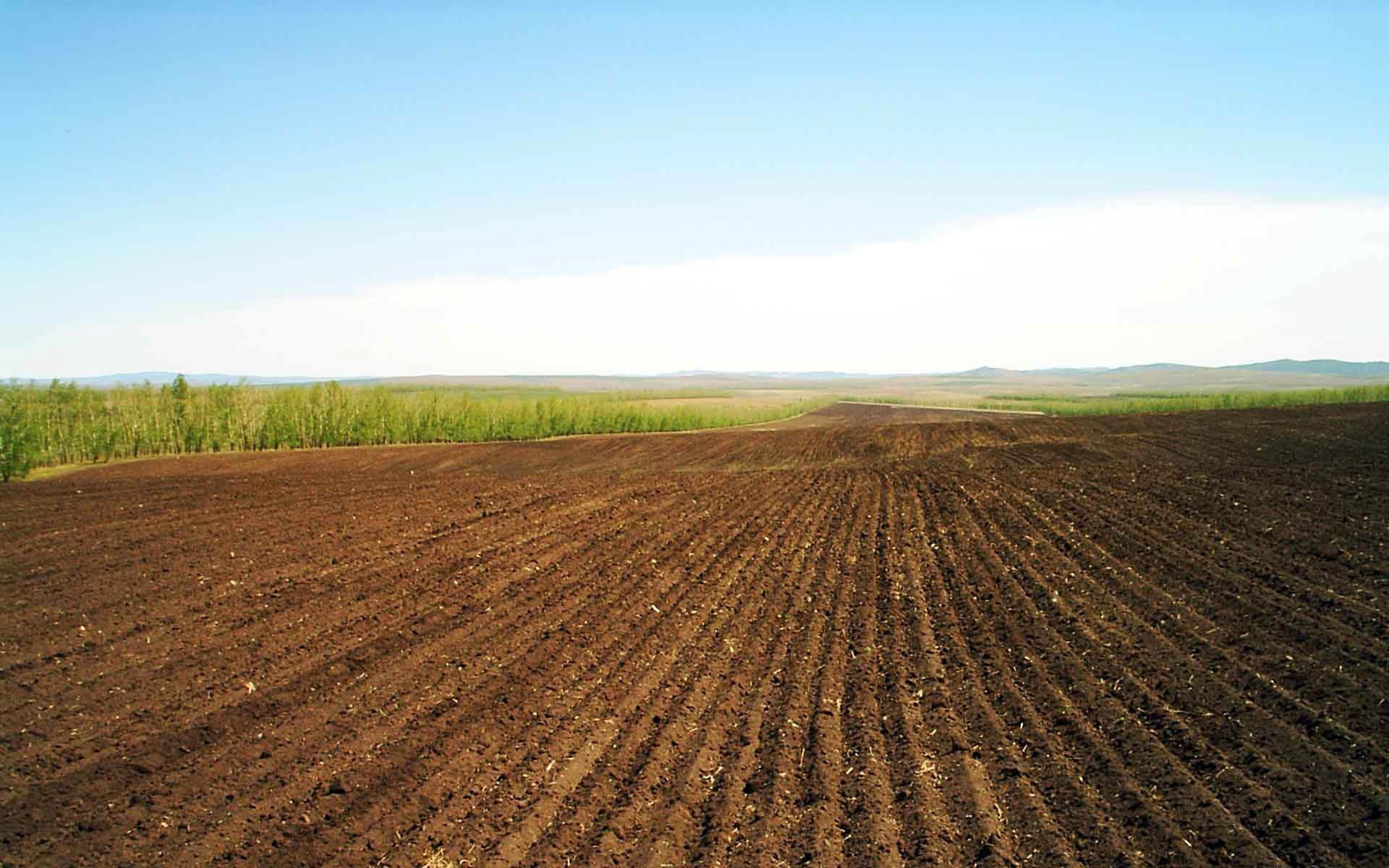 Wallpapers field arable land lines on the desktop