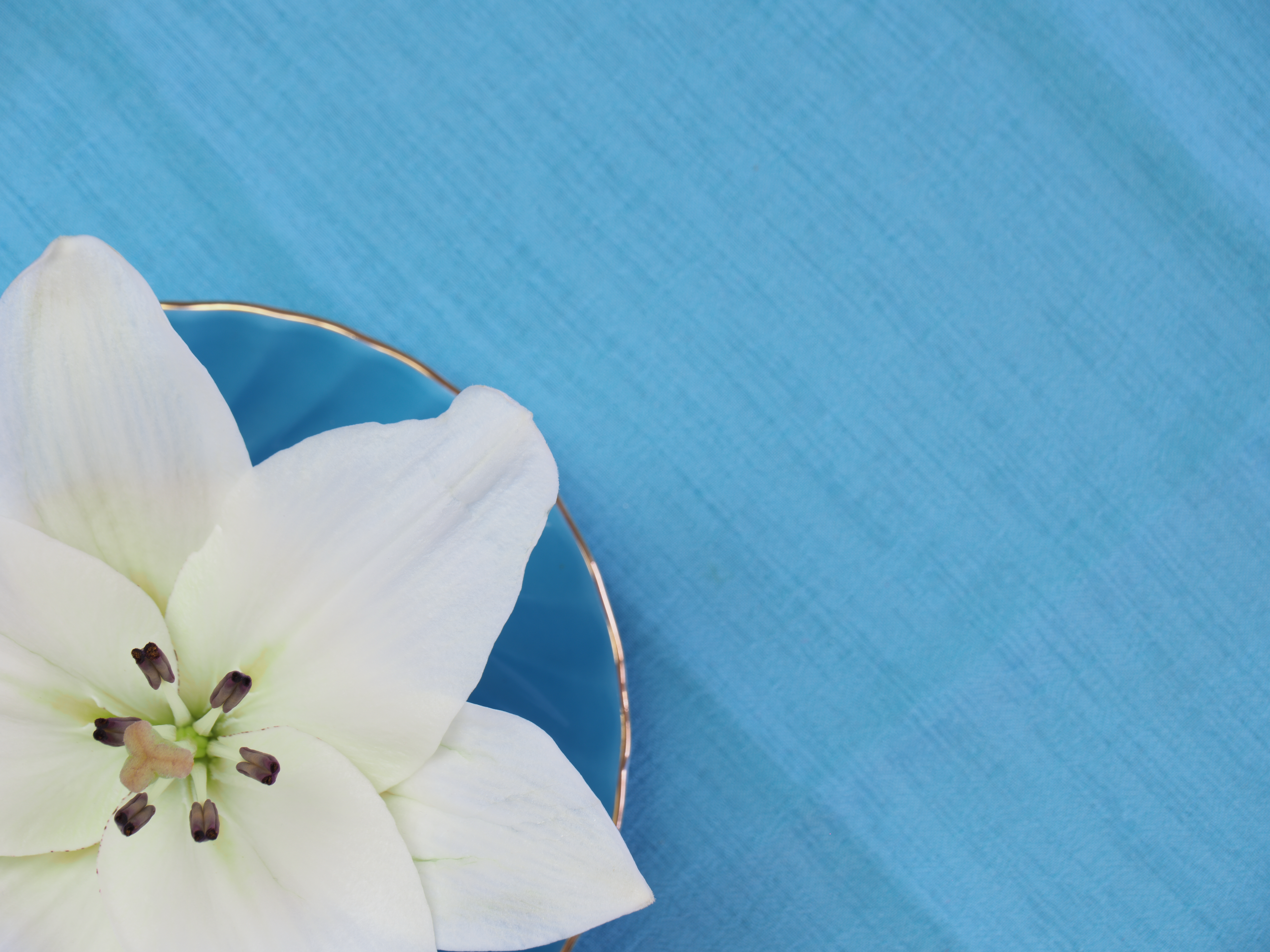 Wallpapers flat lay flower table on the desktop