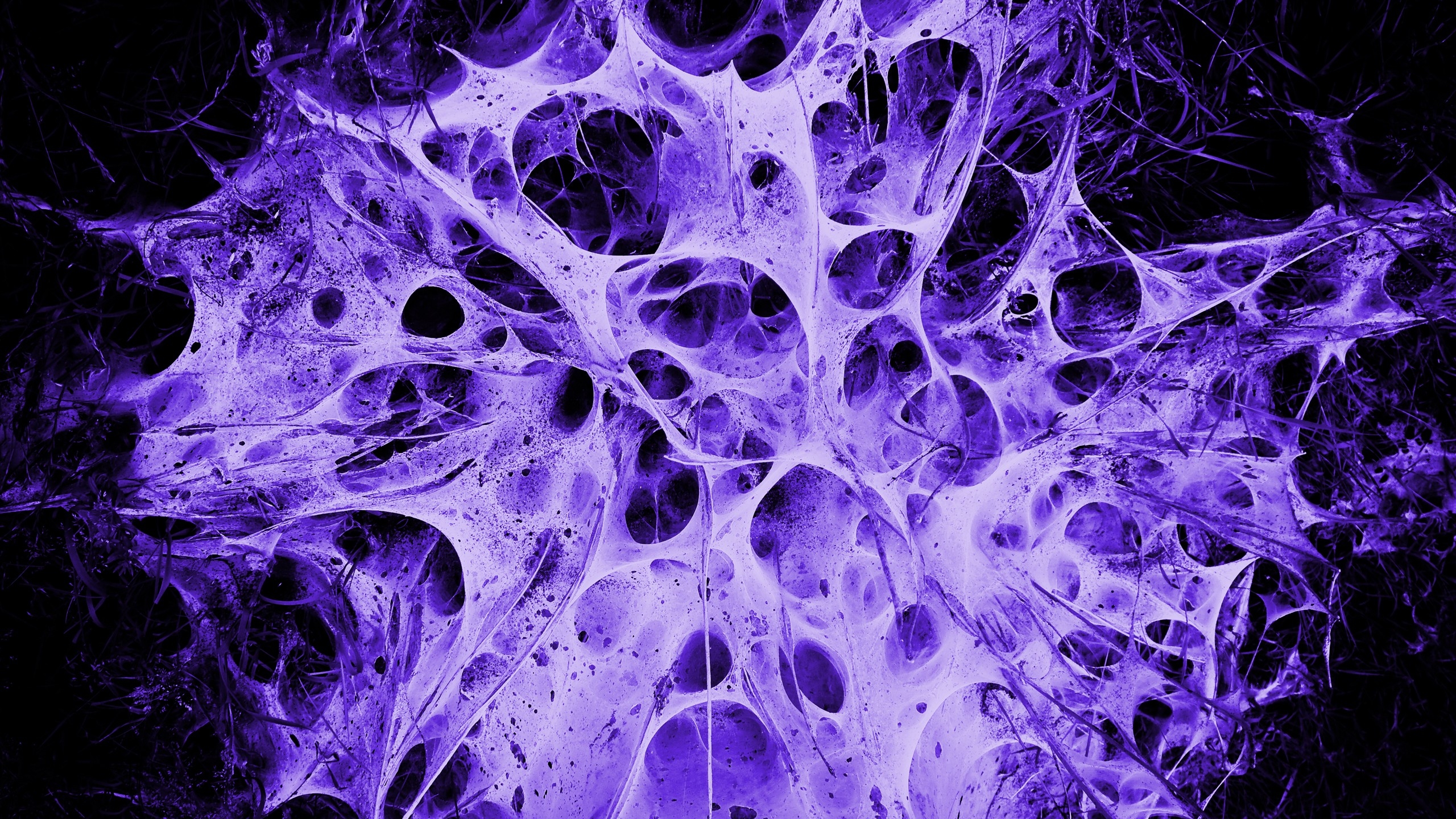 Обои сиреневый точки форма на рабочий стол