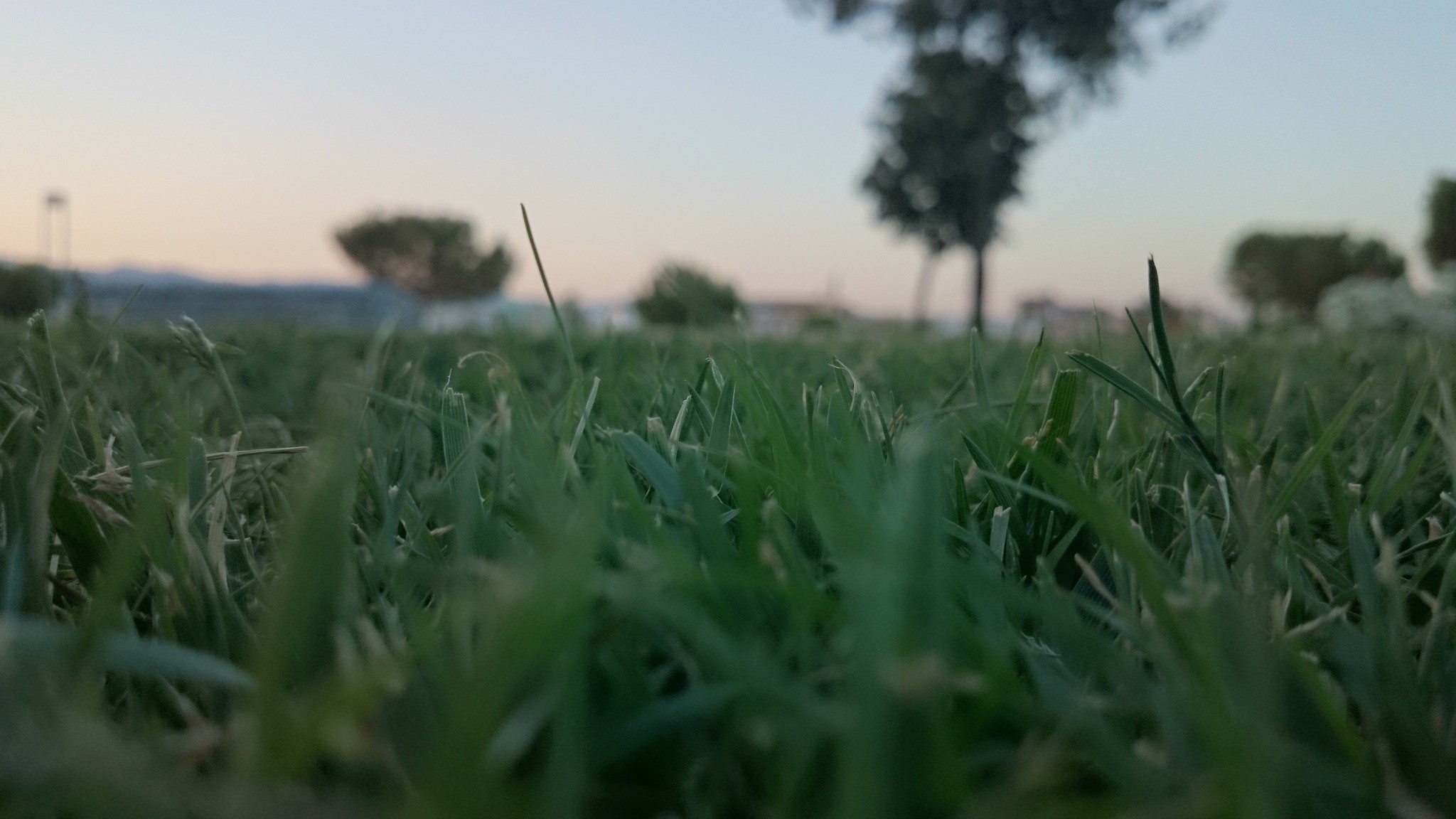 Перспектива снизу