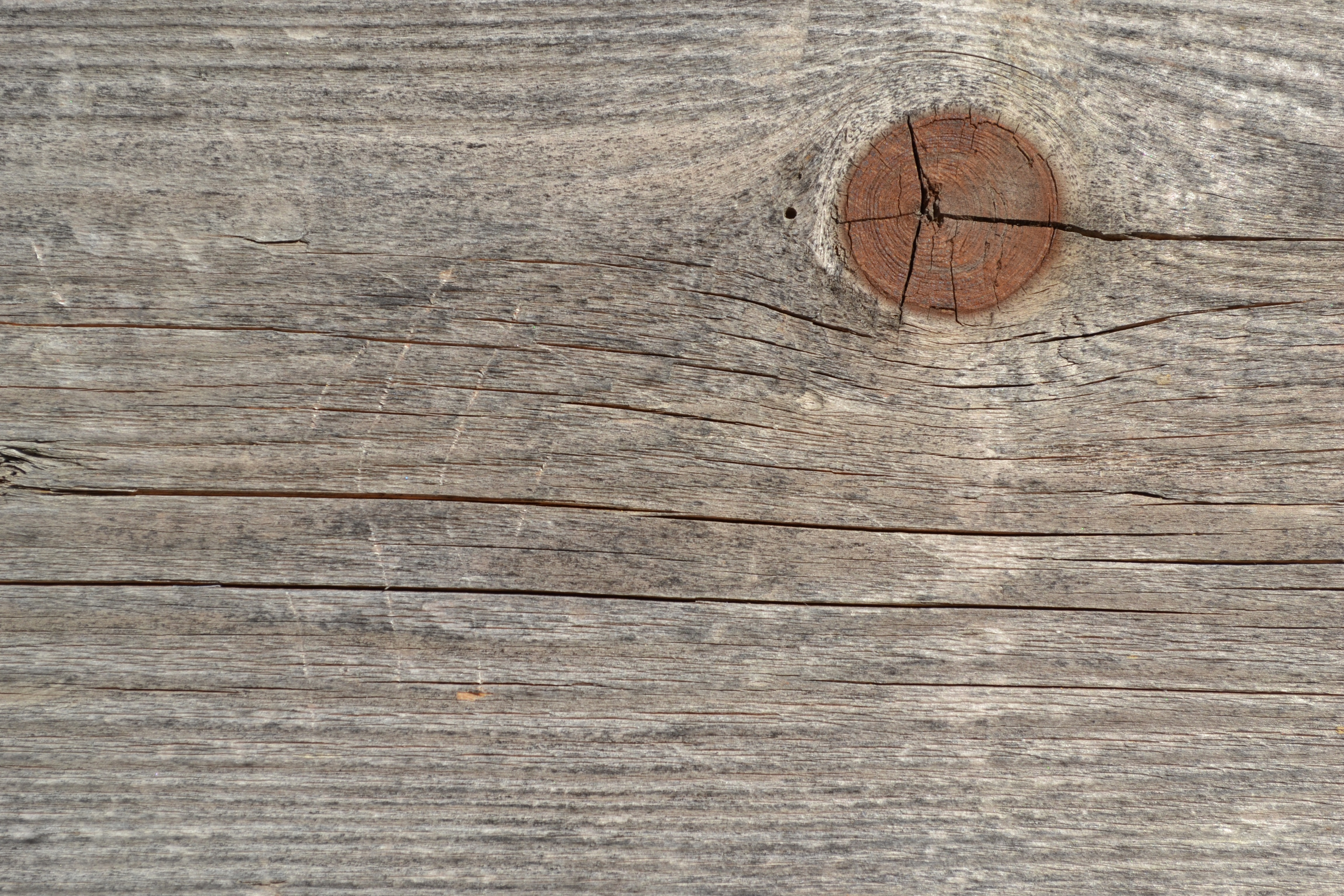 Free photo Texture of a board with a knot