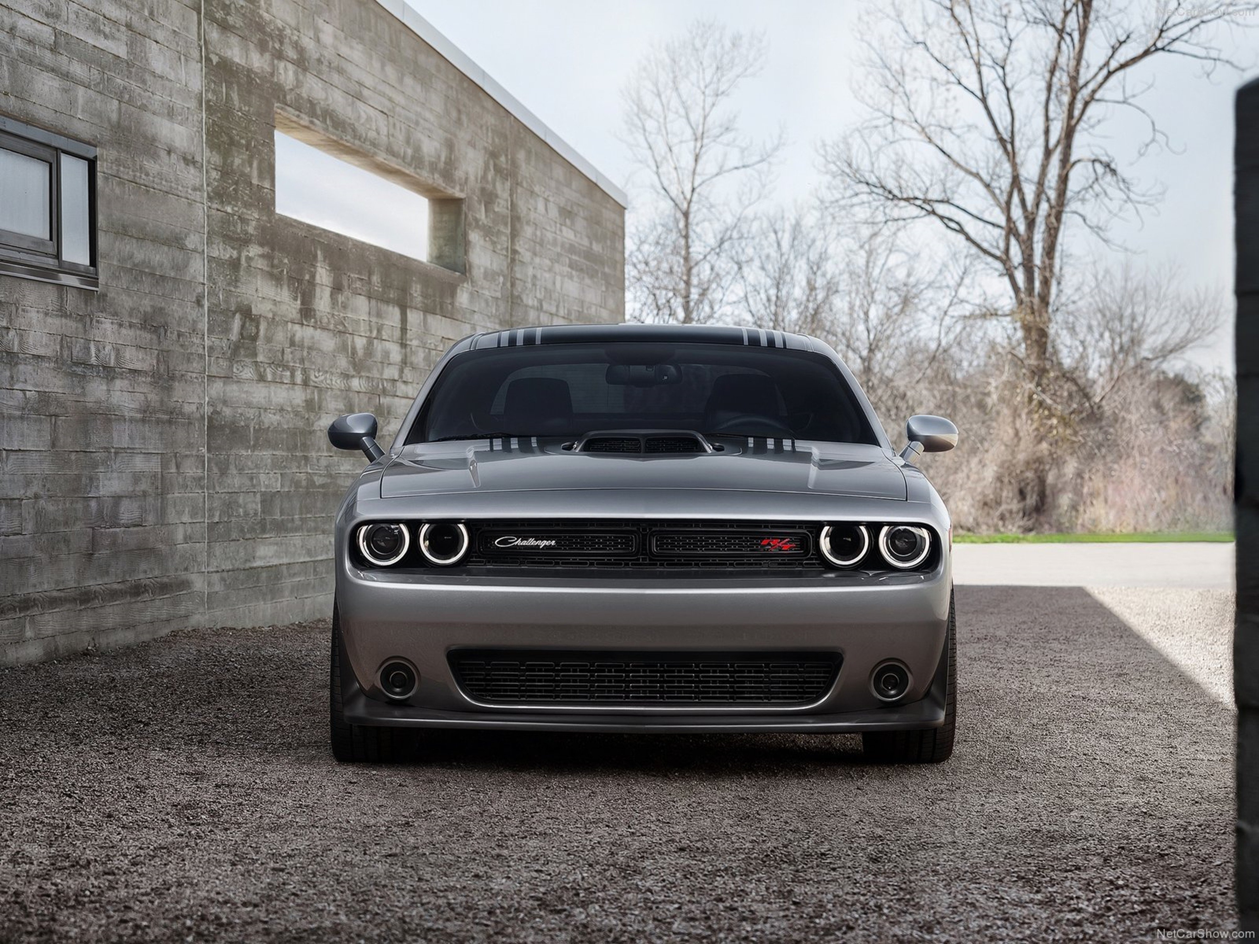 Free photo Cool dodge challenger in gray.