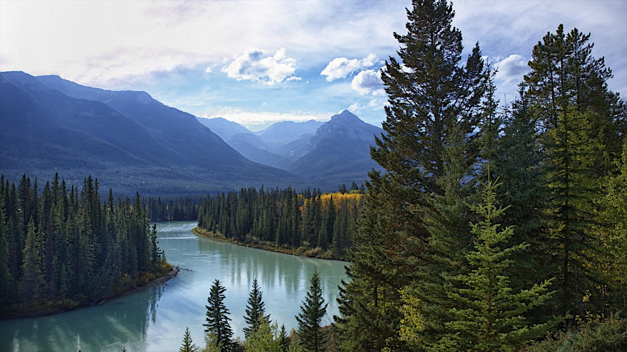 Free photo Winding river along conifers