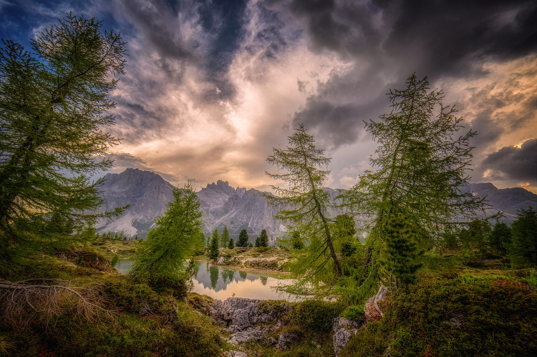 Wallpapers trees sunset Dolomites on the desktop