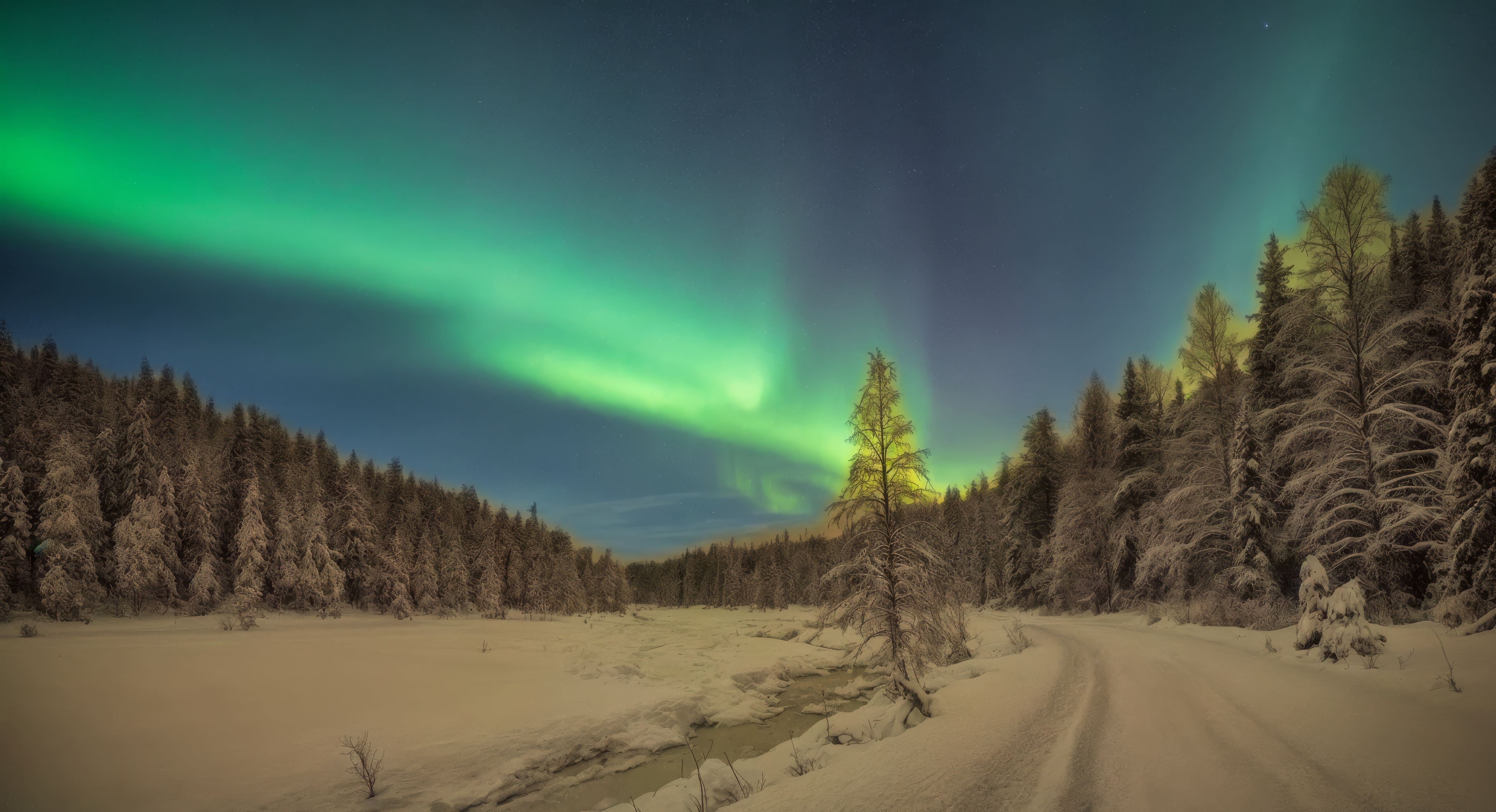 Бесплатное фото Заснеженная дорога с деревьями и полярным сиянием на заднем плане