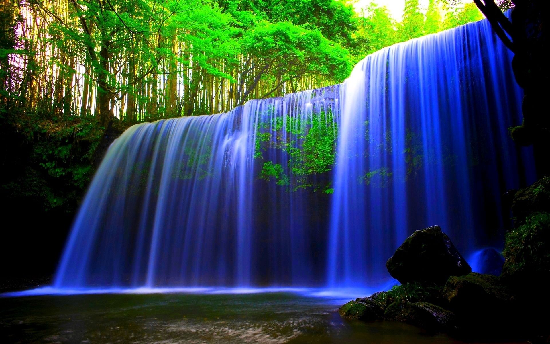 Free photo Summer waterfall in the forest