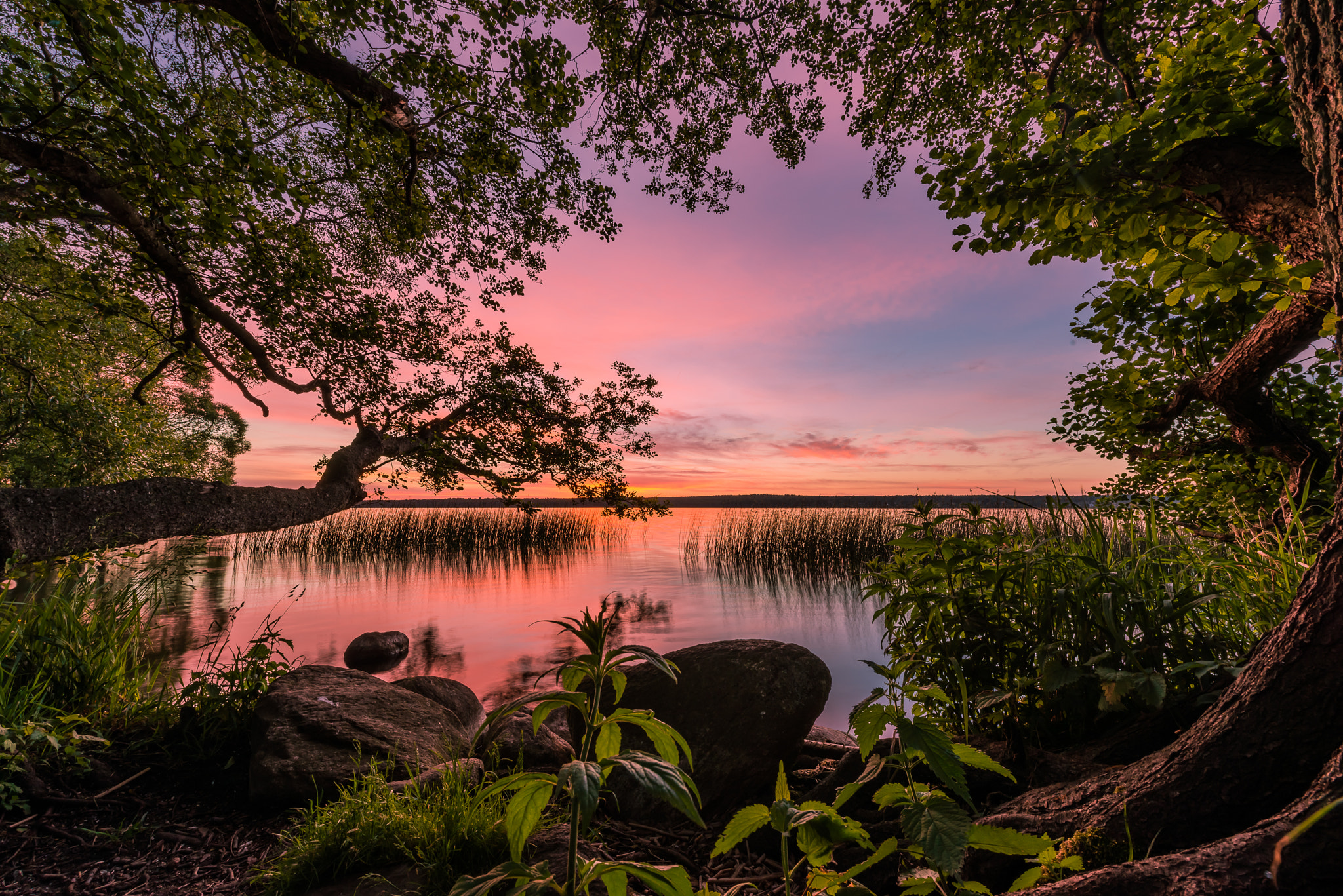 Wallpapers Queens Lake Sorup Denmark on the desktop