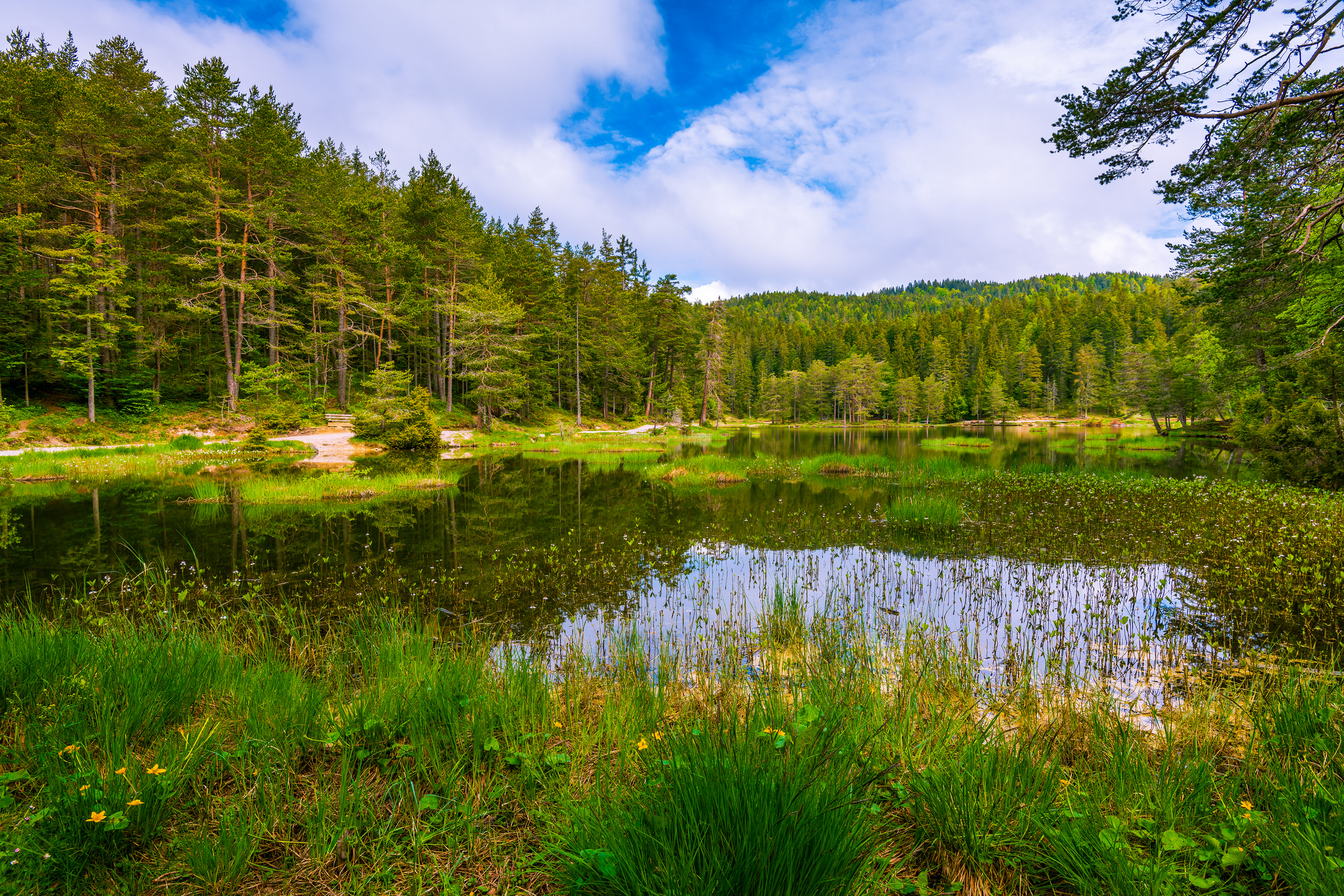 Wallpapers Tyrol Austria trees on the desktop