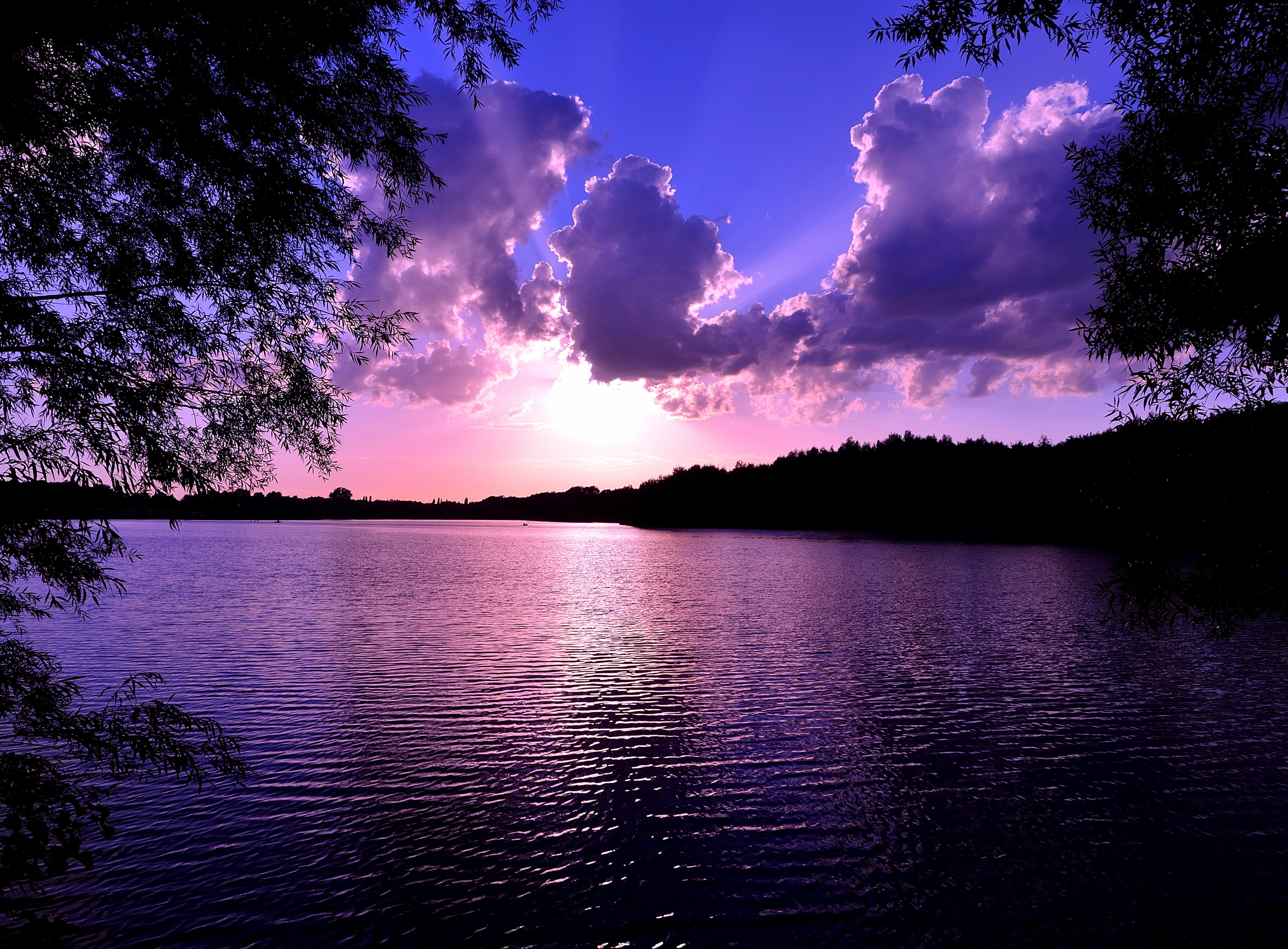 Wallpapers tree branches sky clouds on the desktop