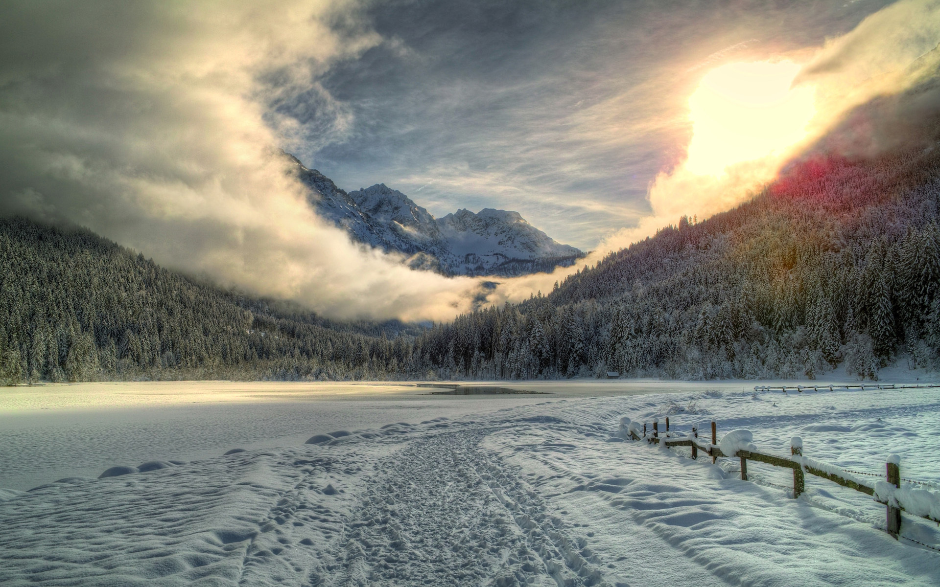 Wallpapers fencing winter snow on the desktop