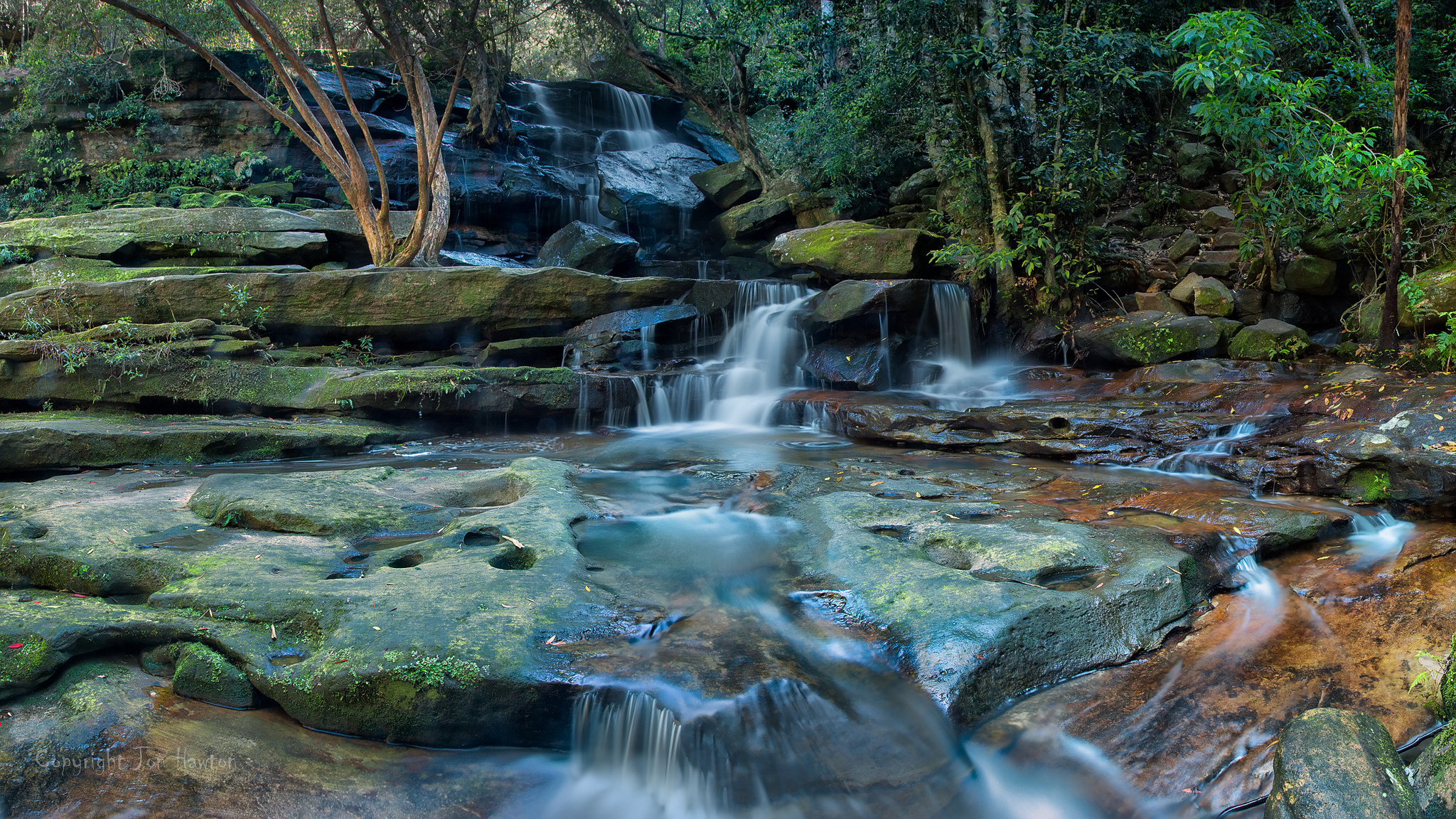 Wallpapers river green foliage rocks on the desktop