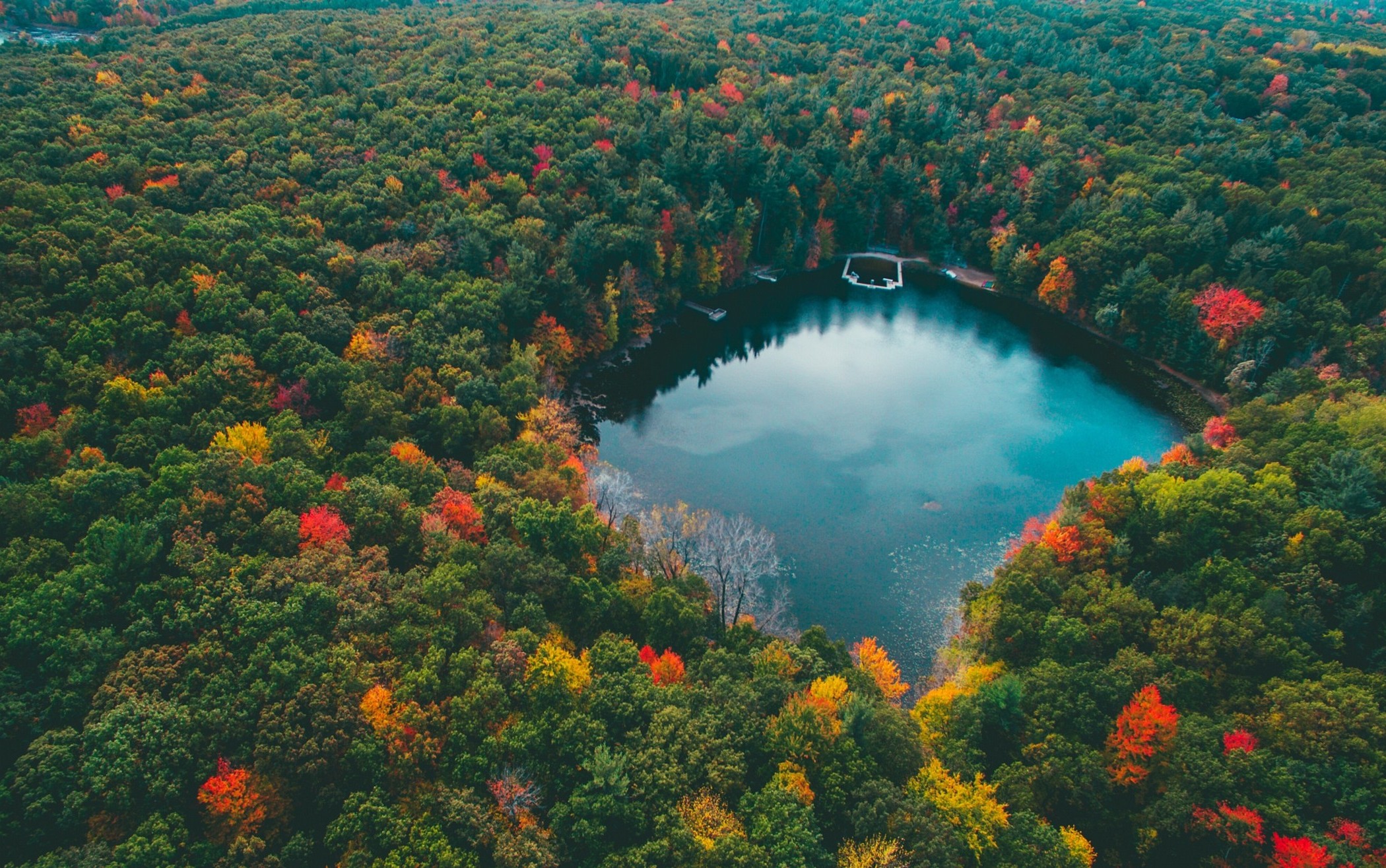 Free photo A lake deep in the woods