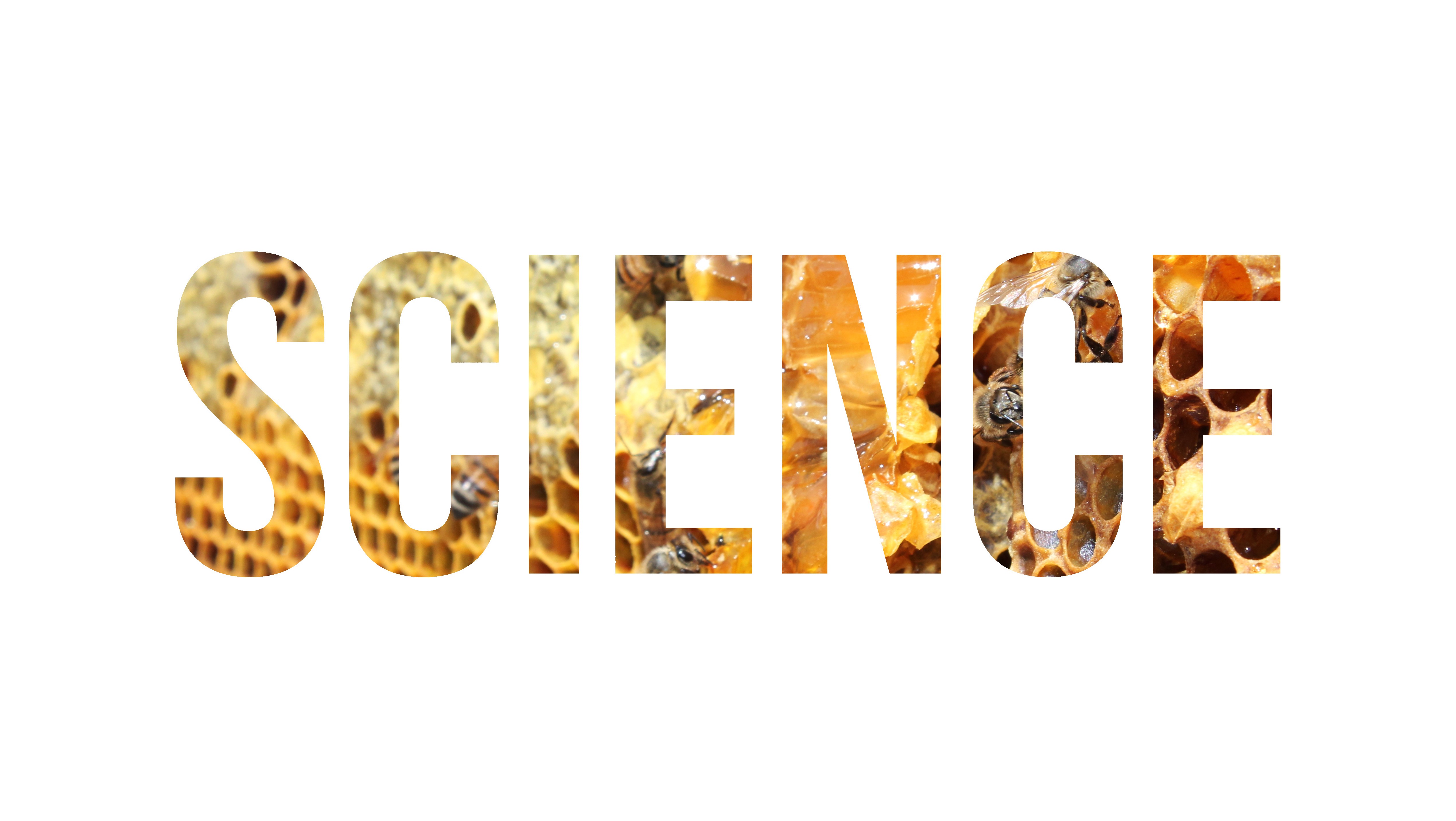 桌面上的壁纸大自然 印刷厂 短信