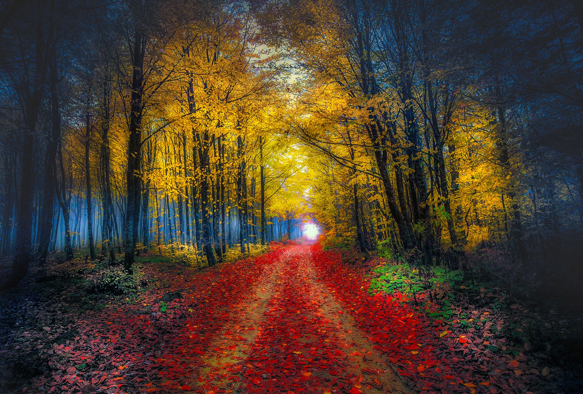 Free photo Autumn on the forest road