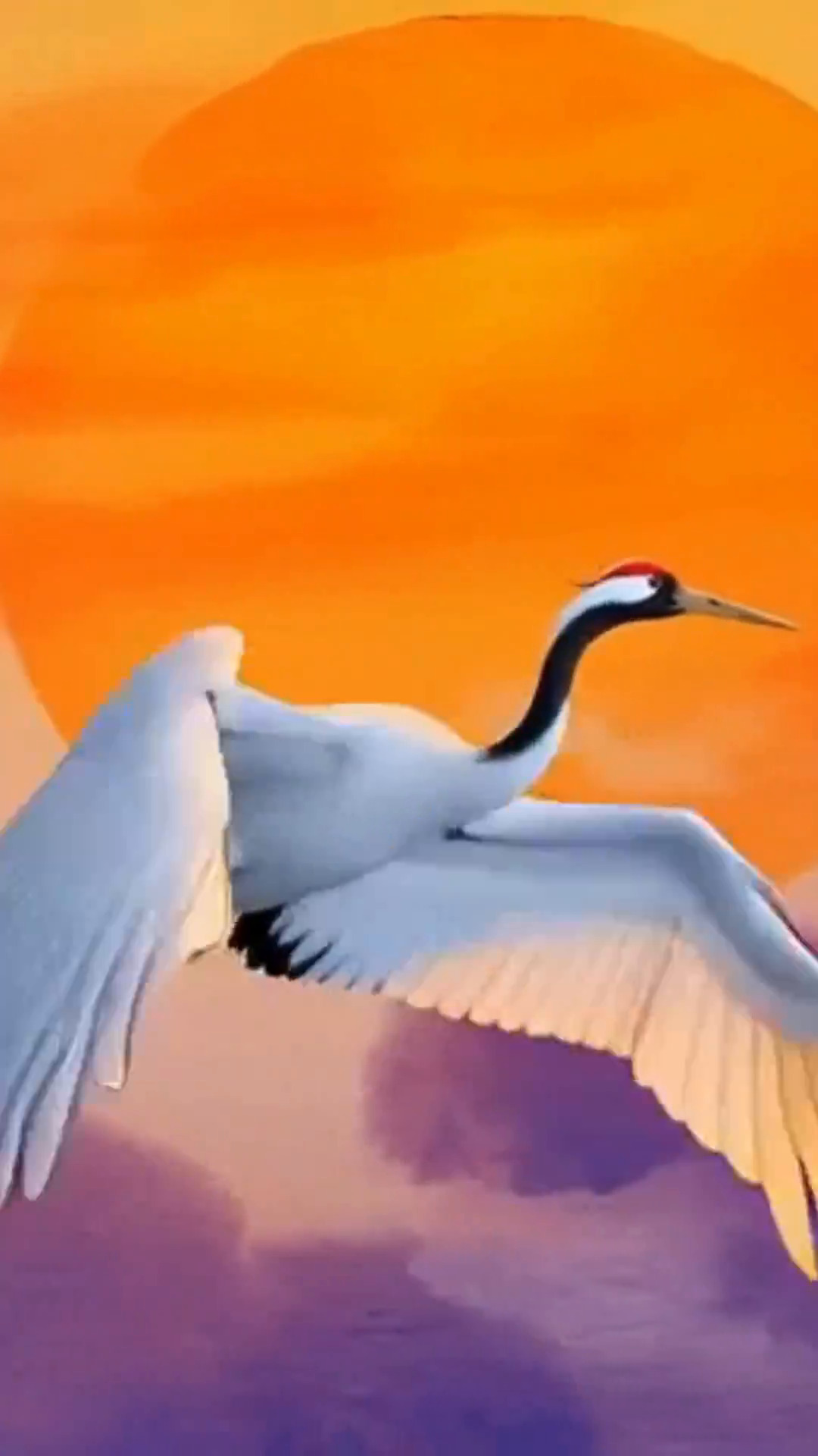 Бесплатное видео Полёт журавля на закате солнца