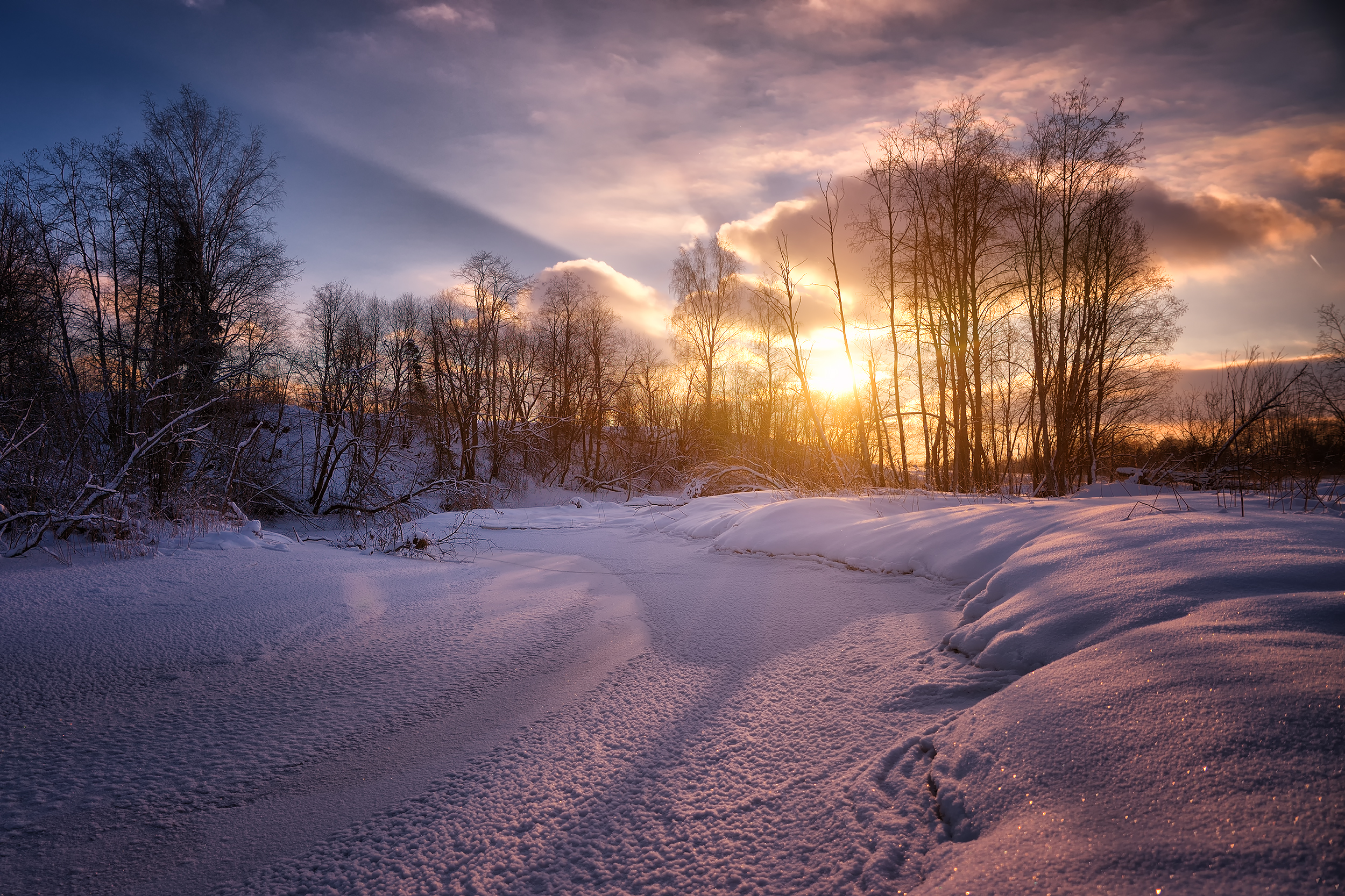 Wallpapers sunset in Moscow trees the frozen body of water on the desktop