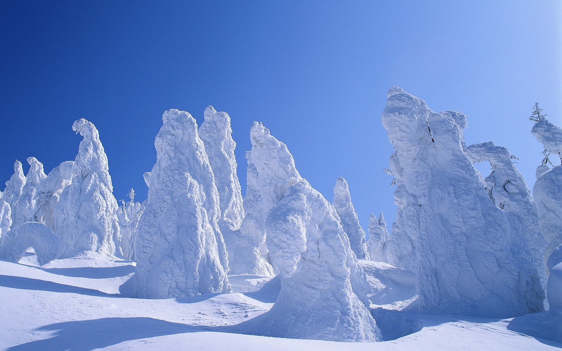 Wallpapers statues winter trees on the desktop