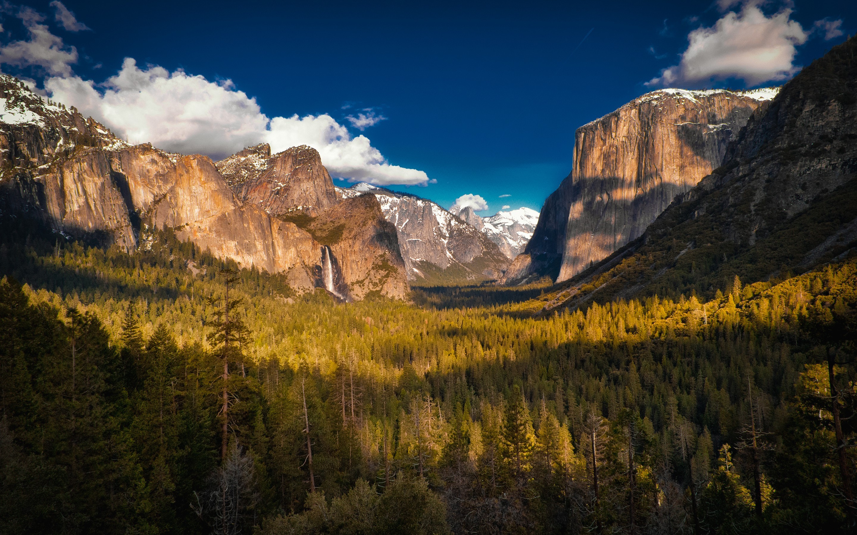 Free photo The dense forest at the foot of the mountains