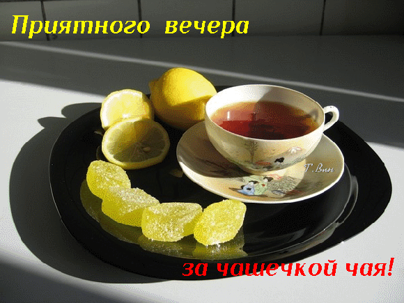 主题为晚上好 茶 柠的明信片免费下载