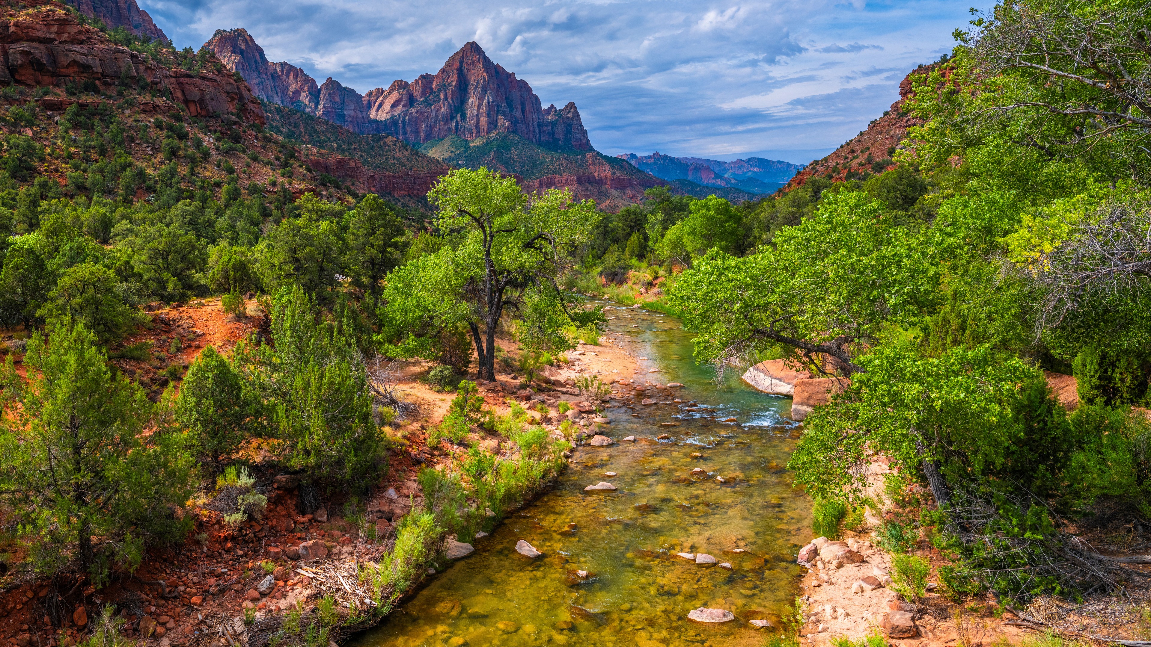 Free photo Spring has arrived in the national park