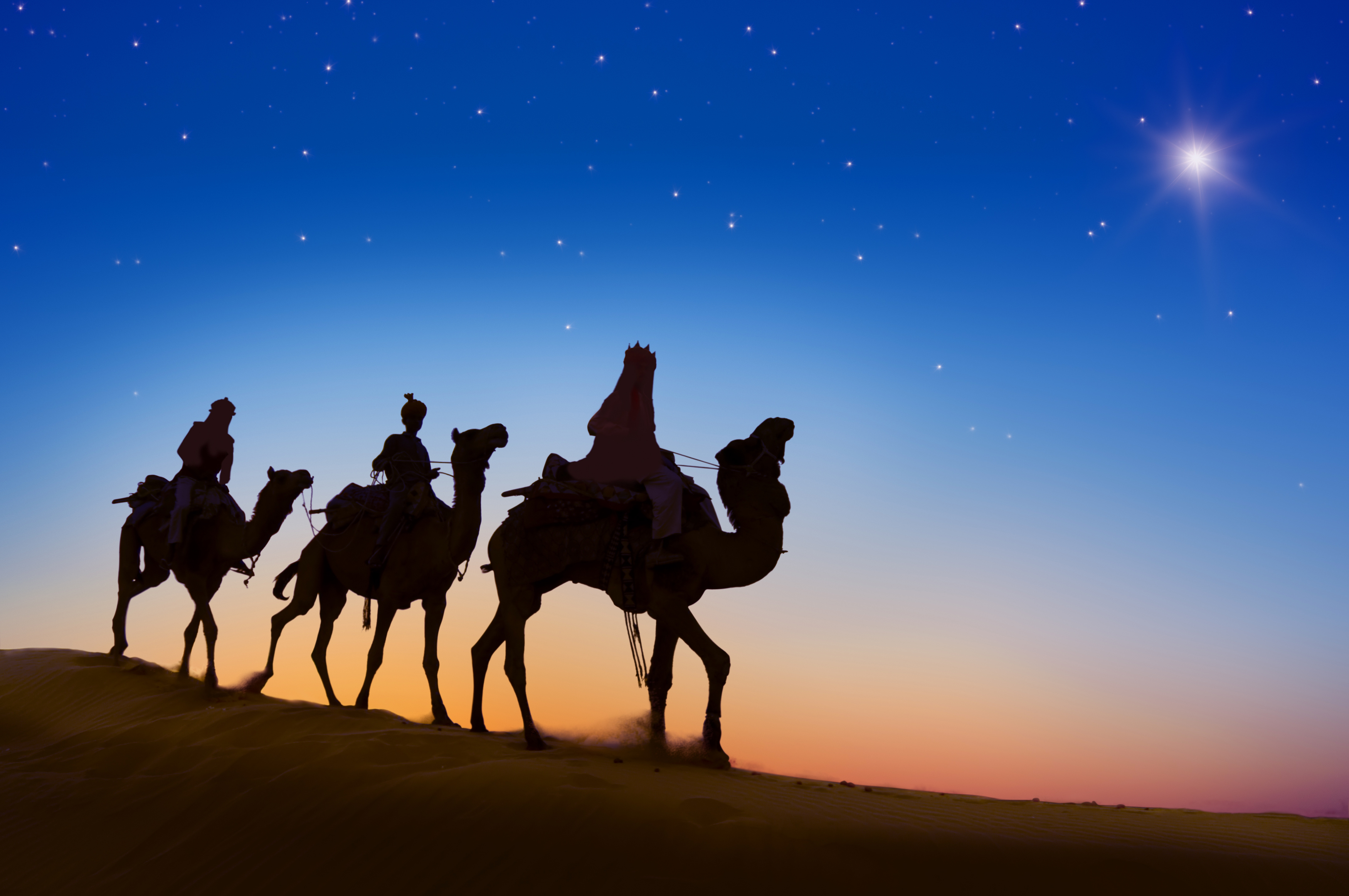 免费照片天空中骆驼的身影