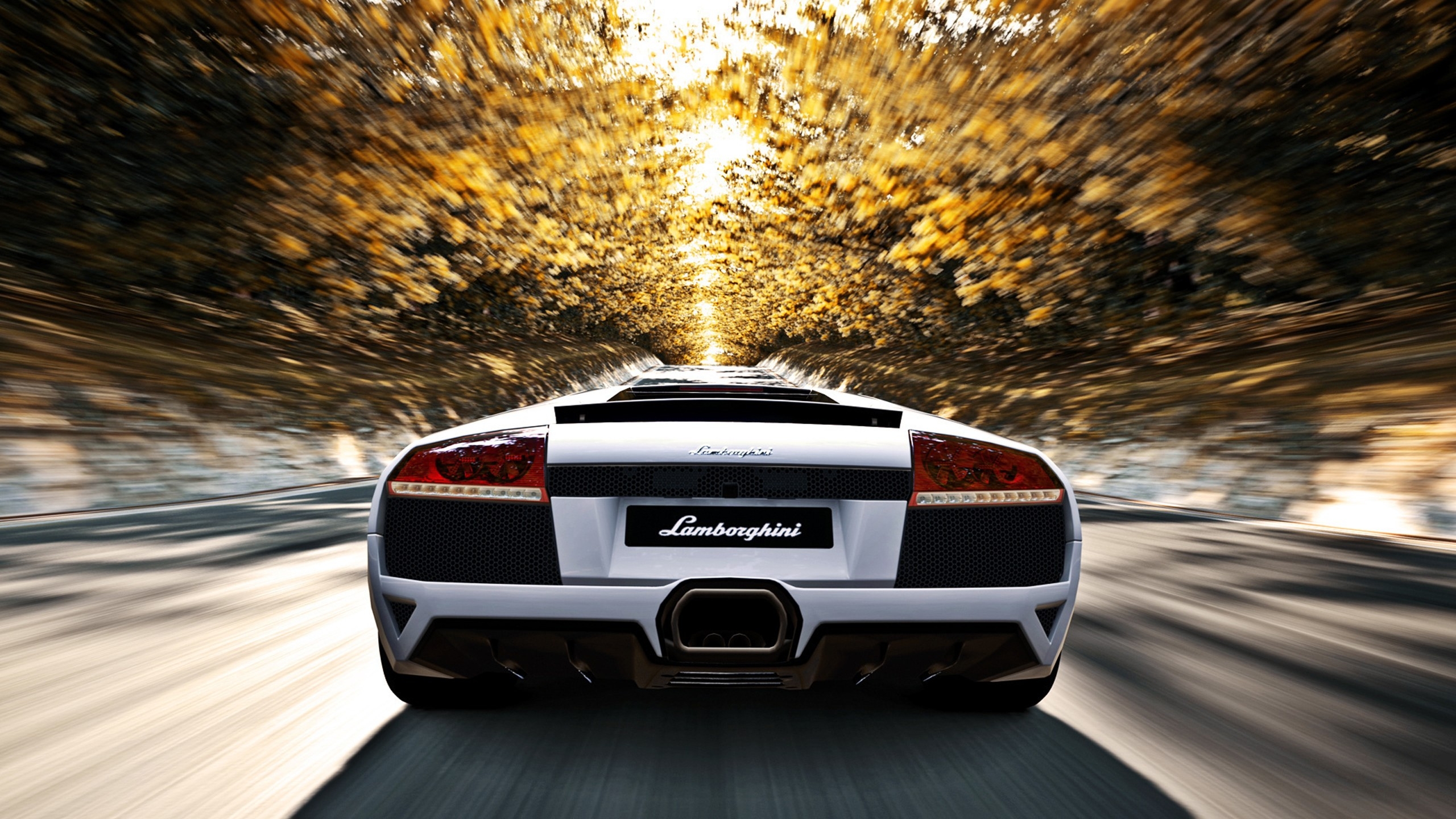 Обои Lamborghini Gran Turismo 5 back view на рабочий стол