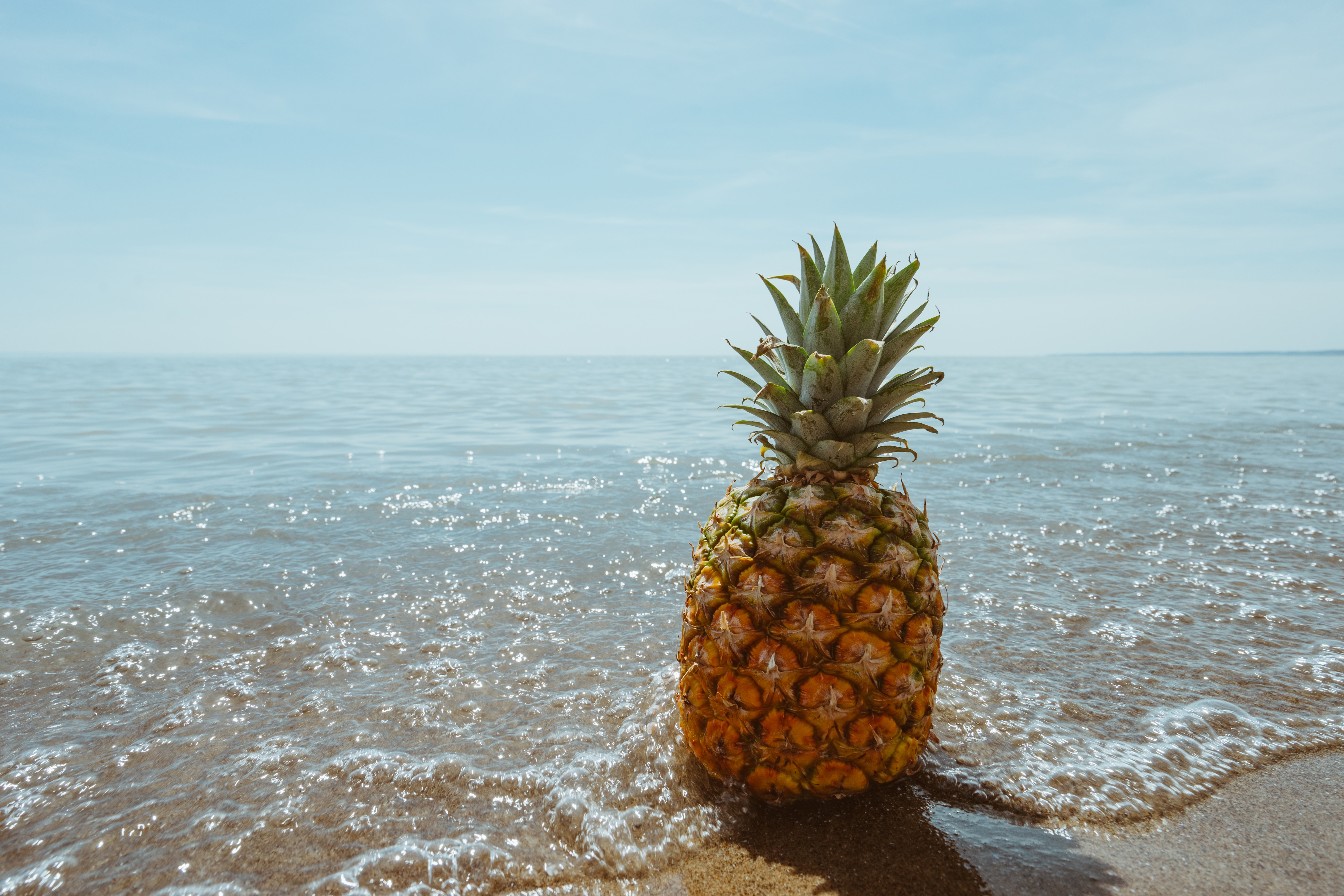 沙滩上的菠萝被海浪冲刷着