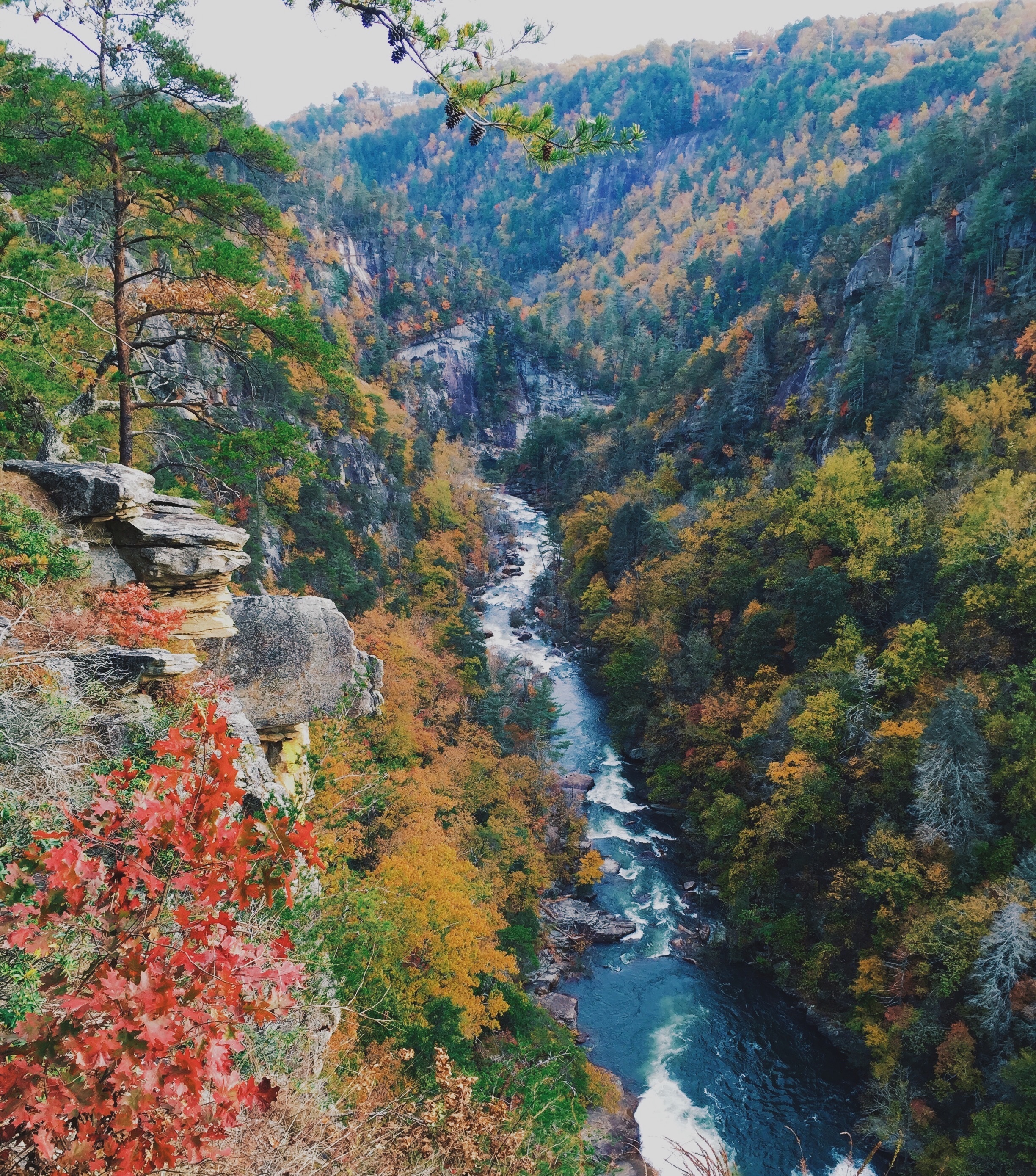 Free photo A narrow mountain river with a strong current