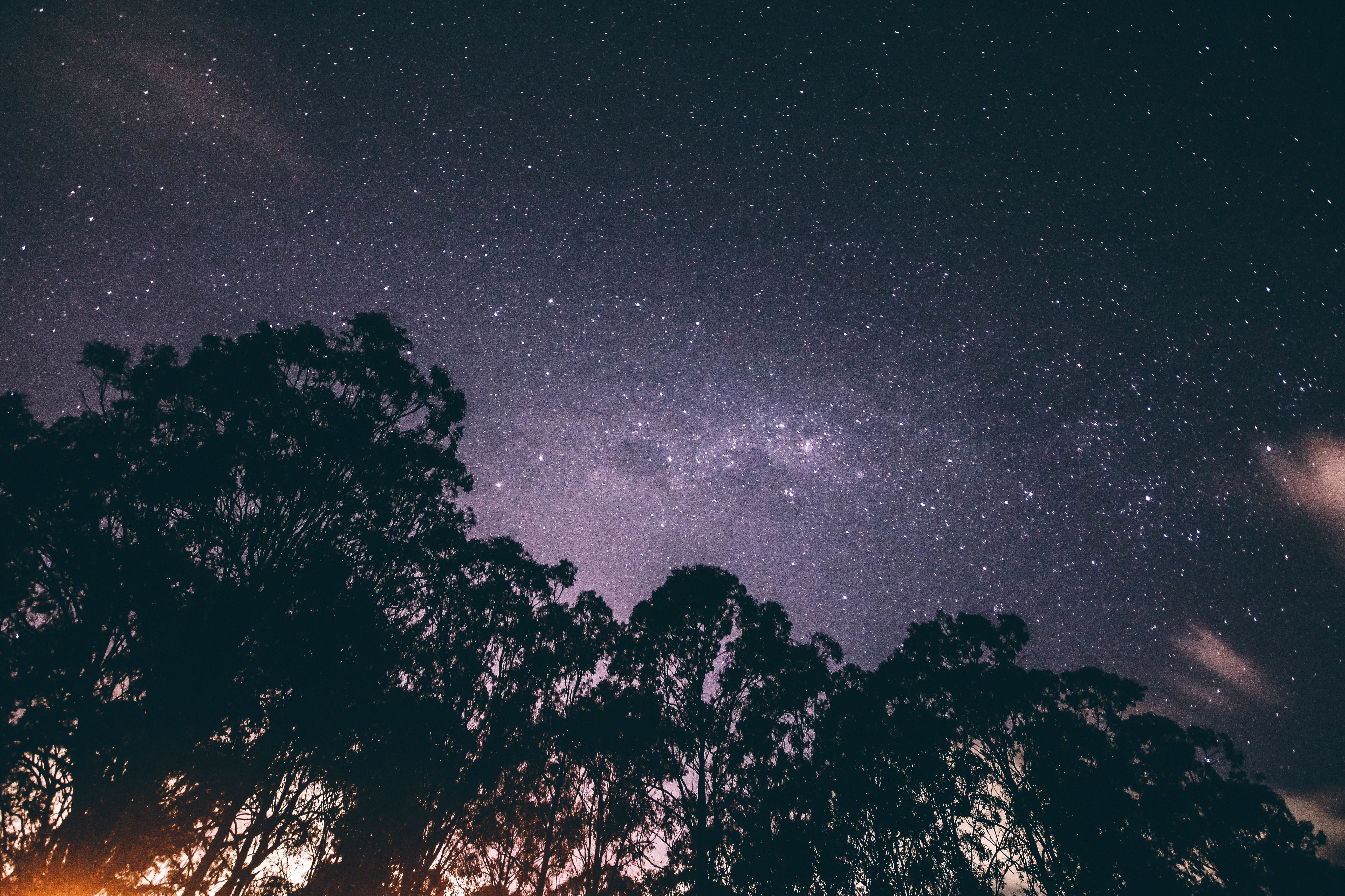 免费照片繁星点点的夜空