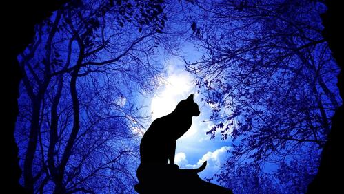 Бесплатное фото Рисунок кота 119