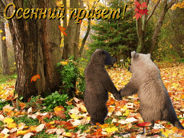 Free postcard Autumn Greeting