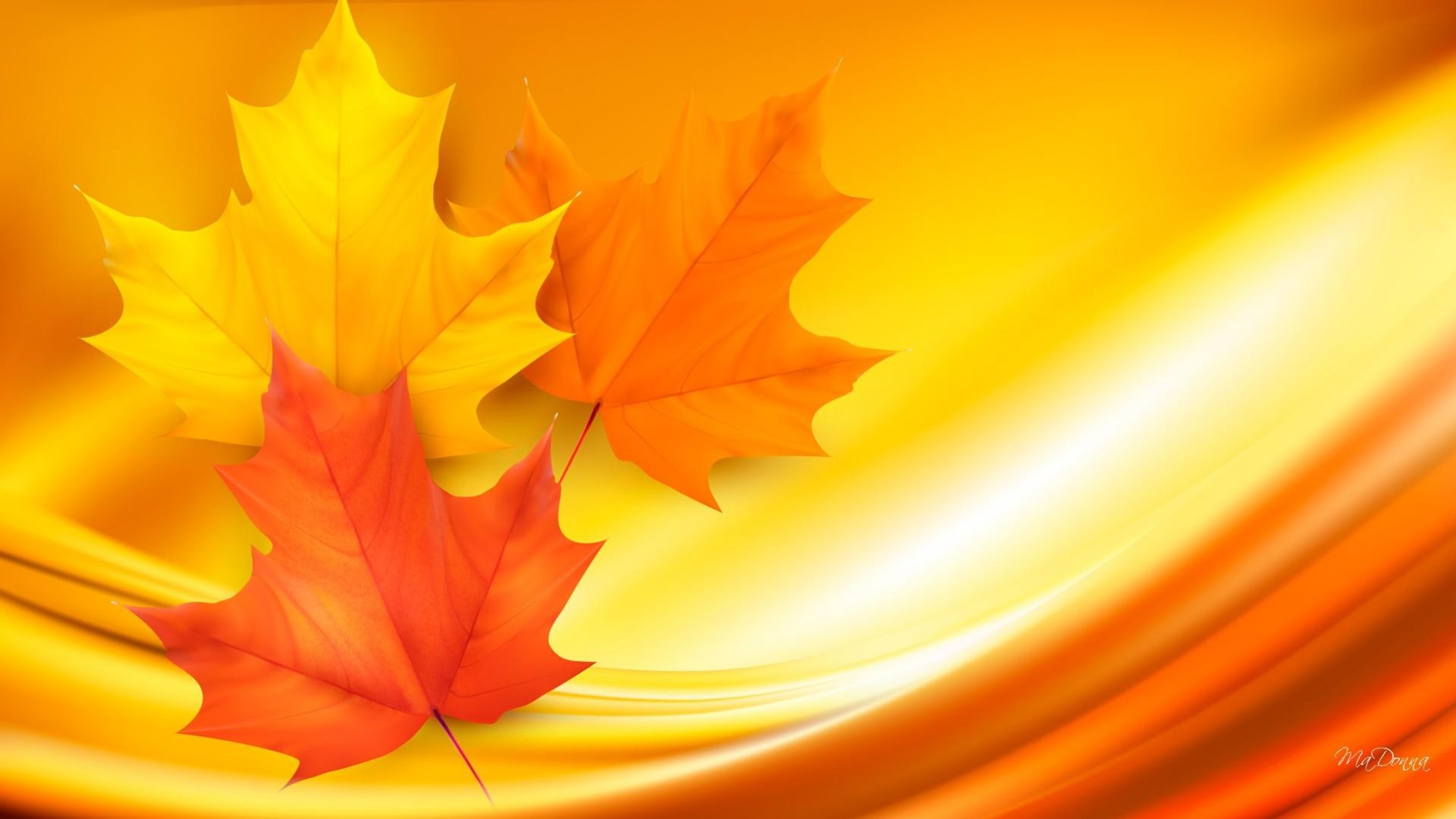 Wallpapers wallpaper leaf orange background autumn on the desktop