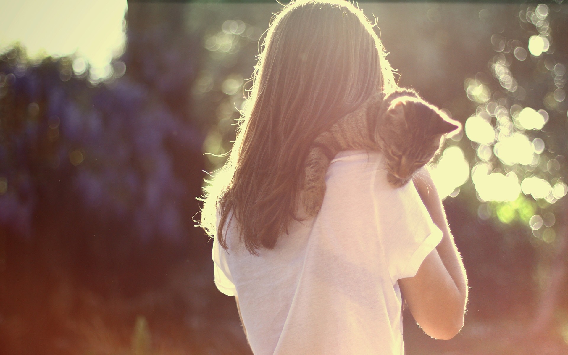 Обои кошка девушка размытый фон на рабочий стол