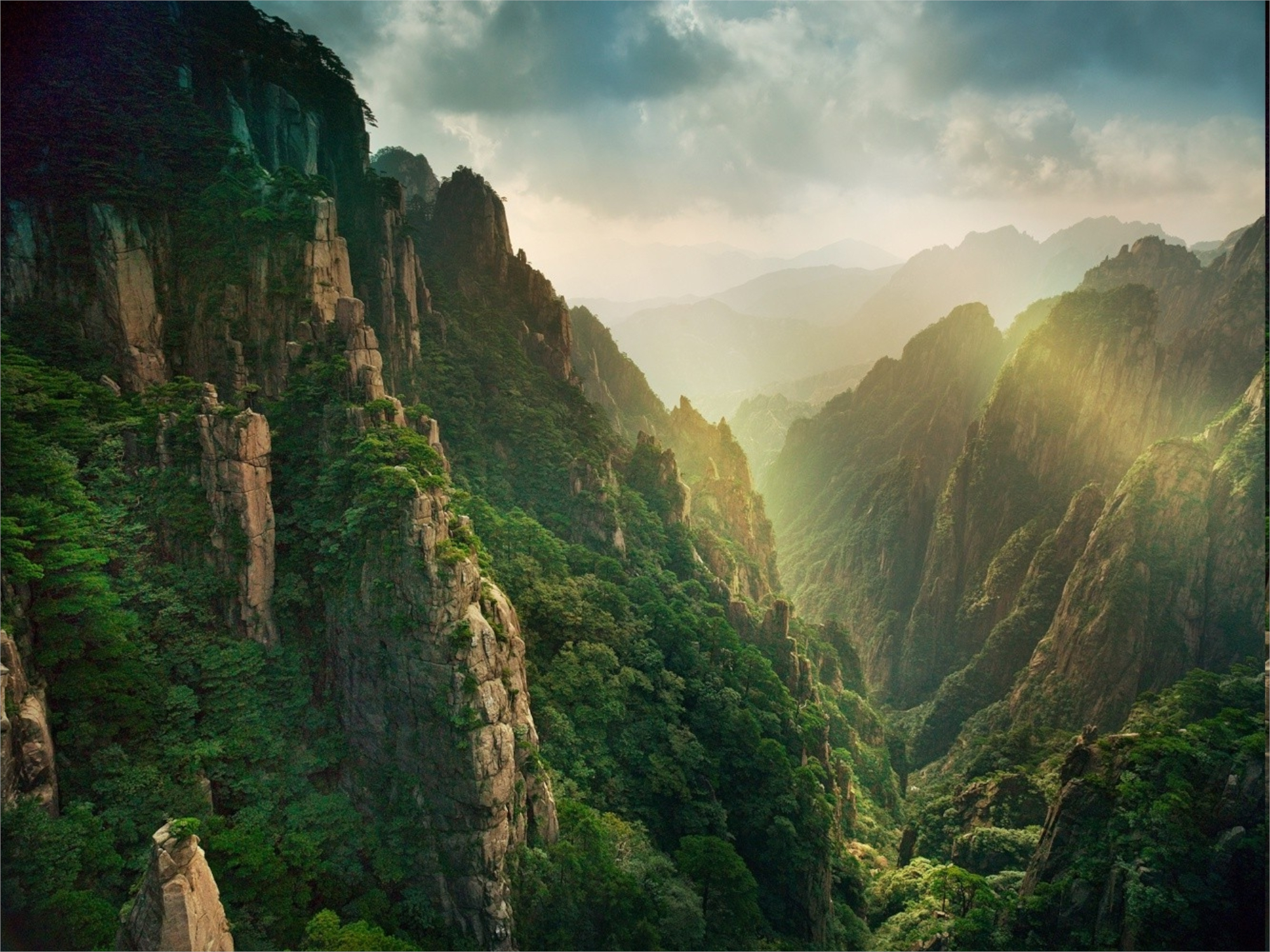 Free photo Gorge with green vegetation