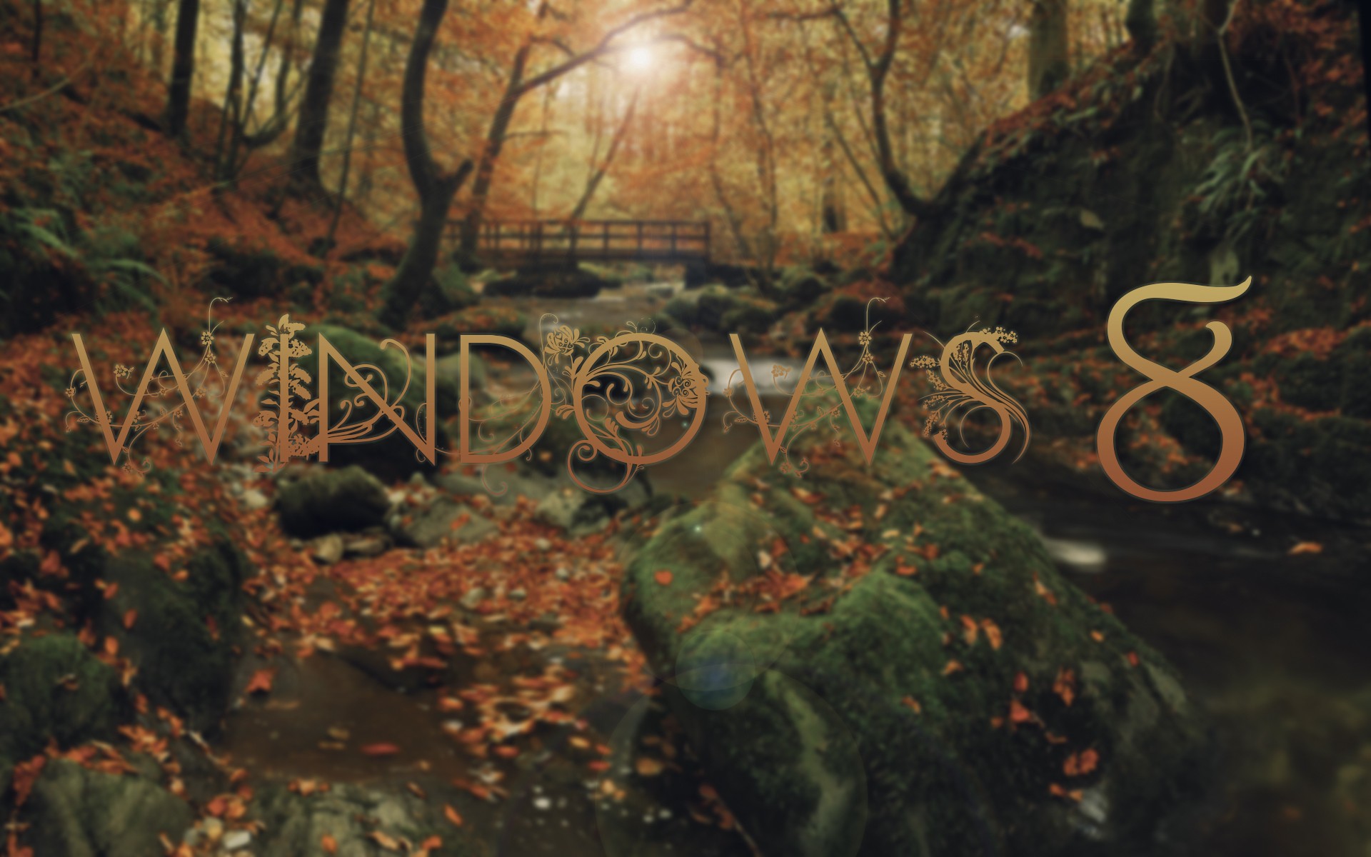 Обои деревья лес окно на рабочий стол