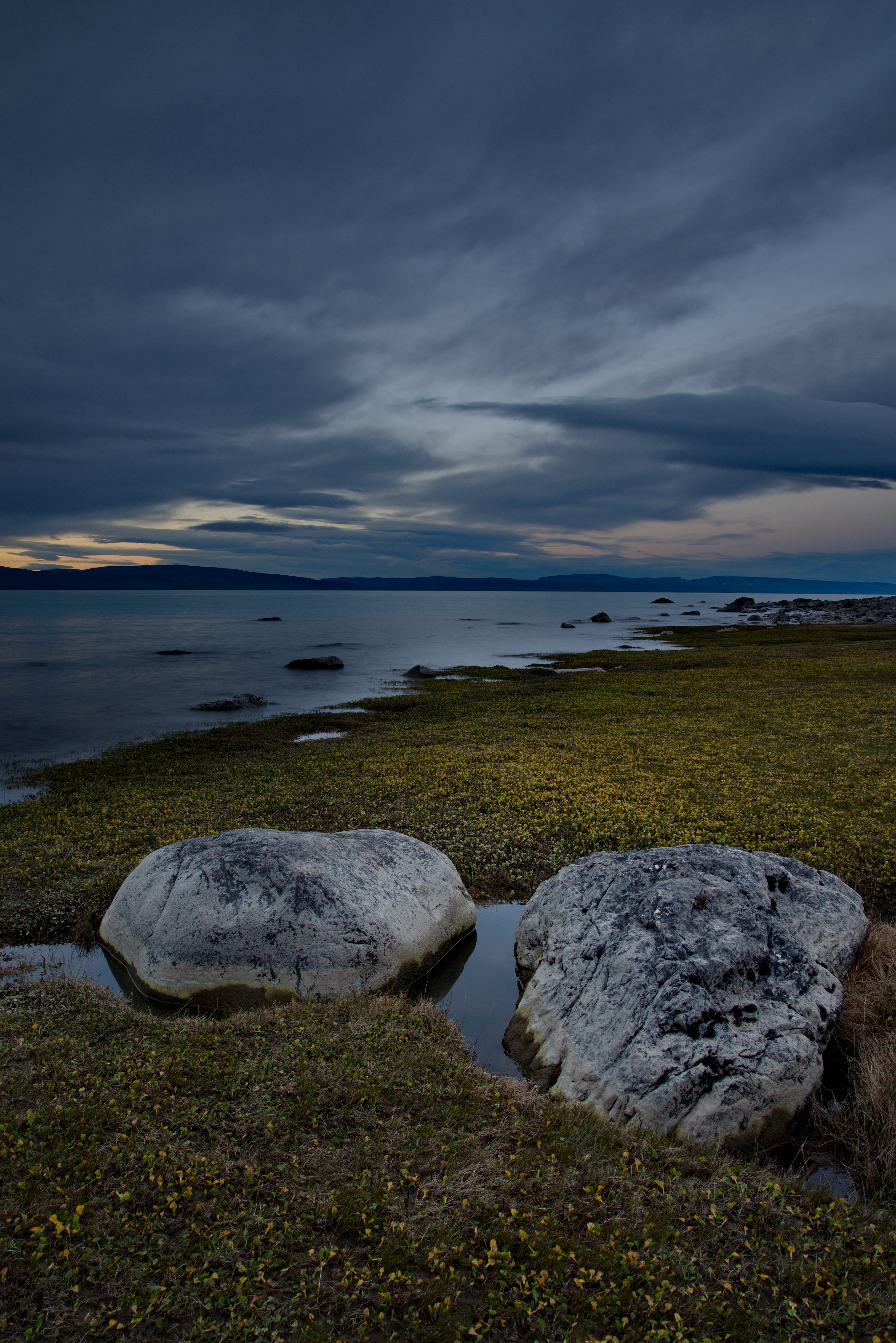 Free photo Sunset on the shore with green grass