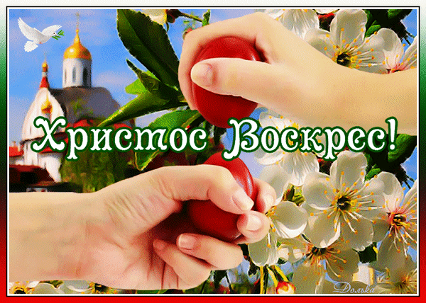 主题为鲜花 蛋类 复活节的明信片免费下载