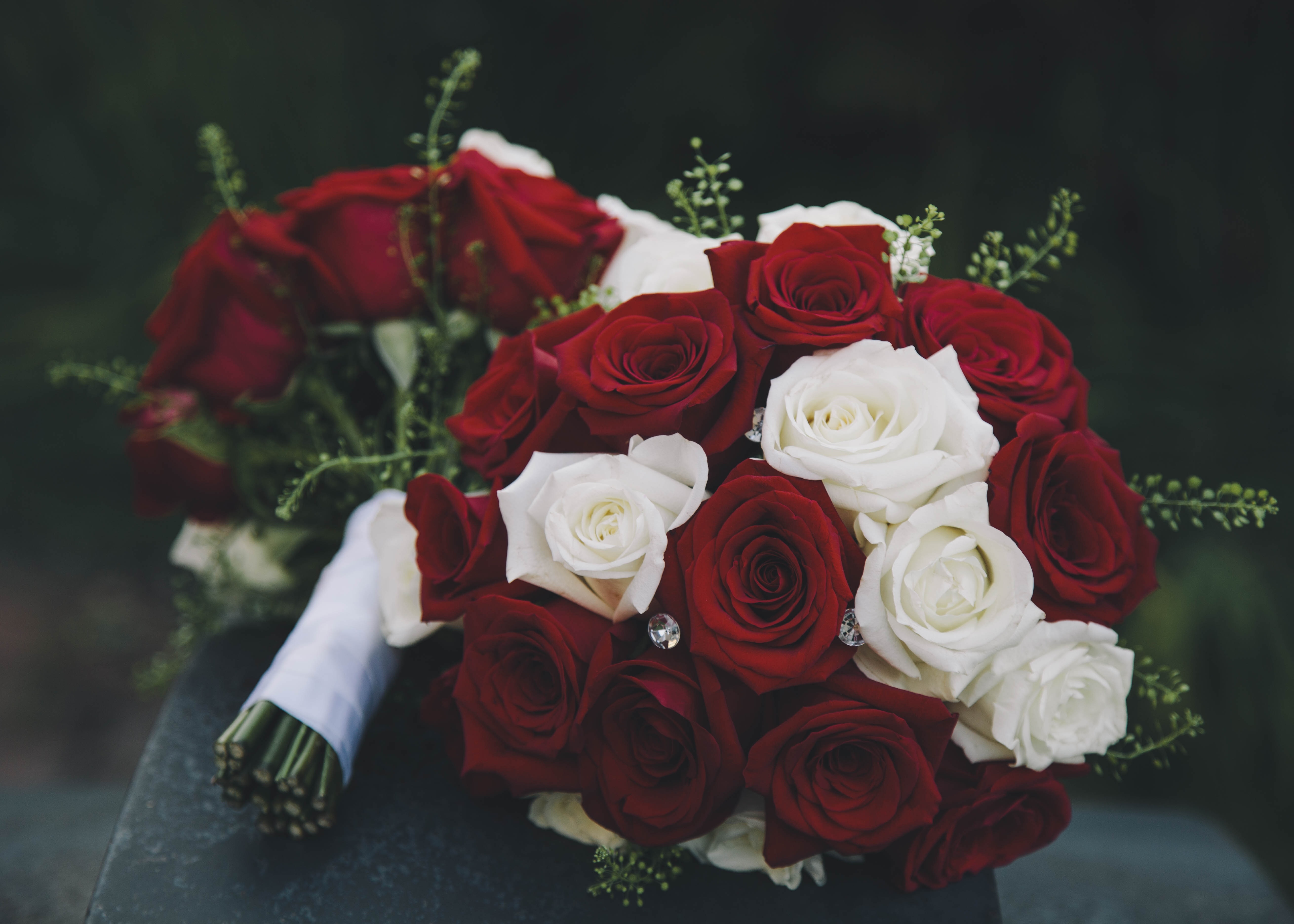 桌面上的壁纸红色 白色 玫瑰
