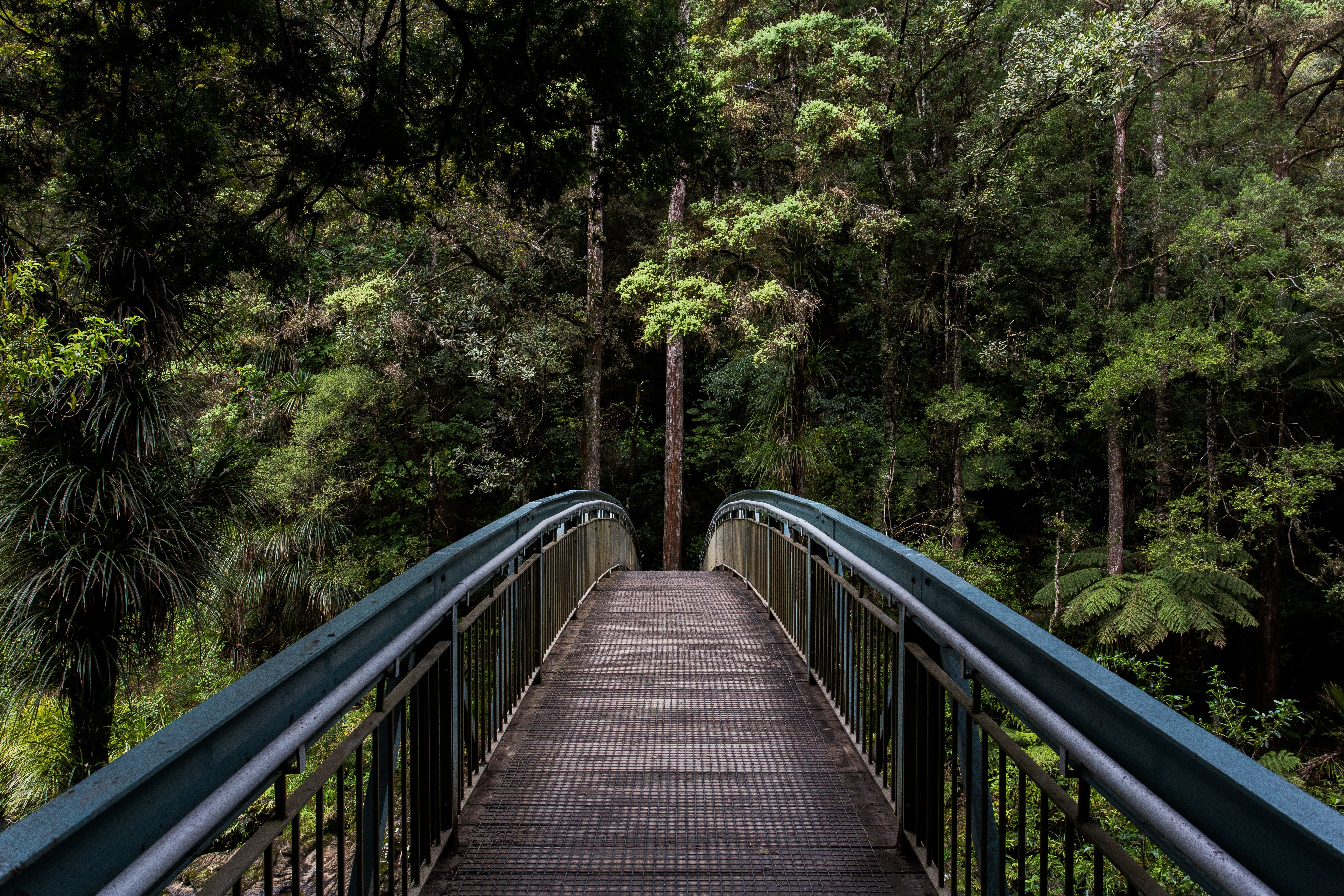 Wallpapers forest outdoor architecture on the desktop