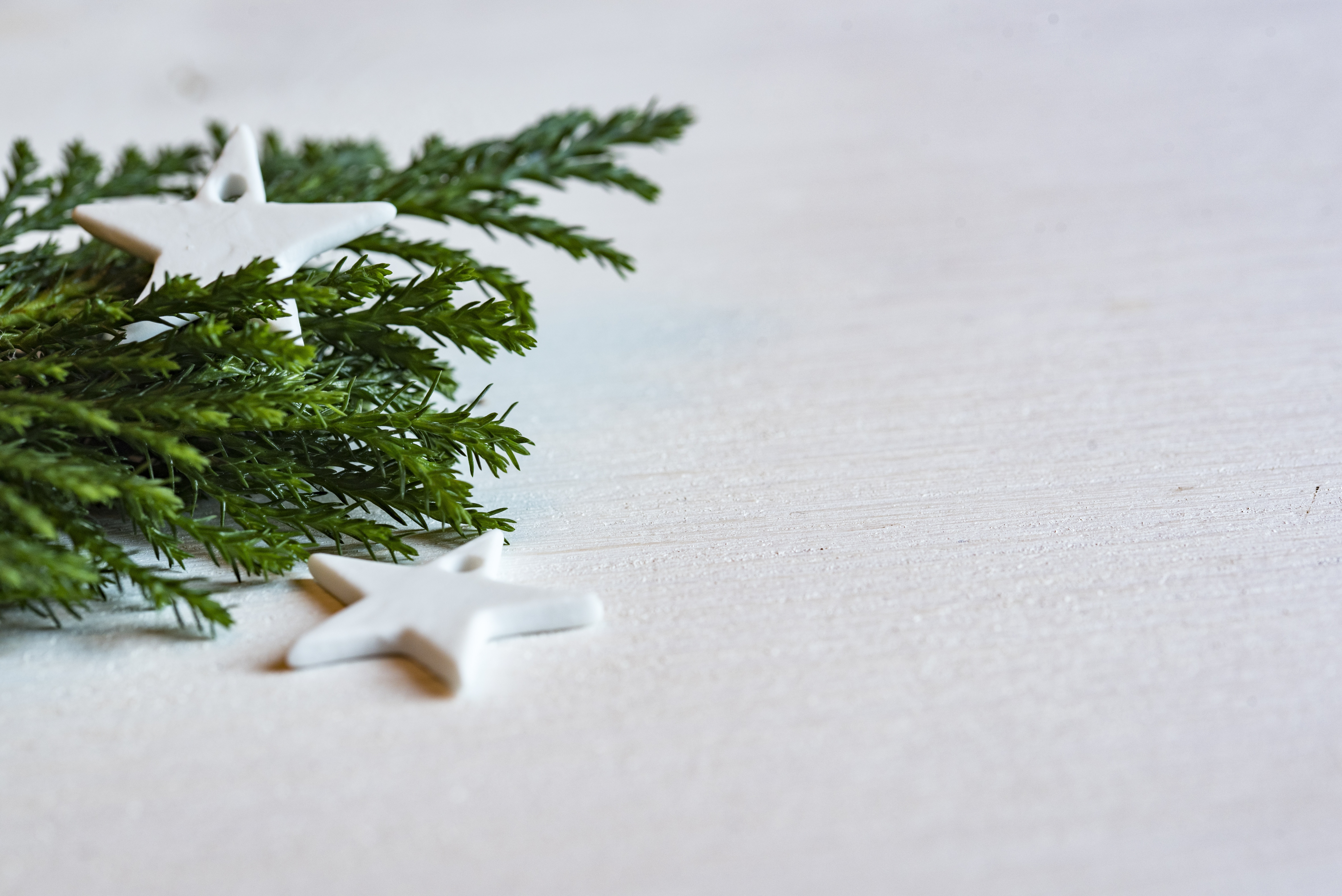 Free photo Pine sprig with white stars