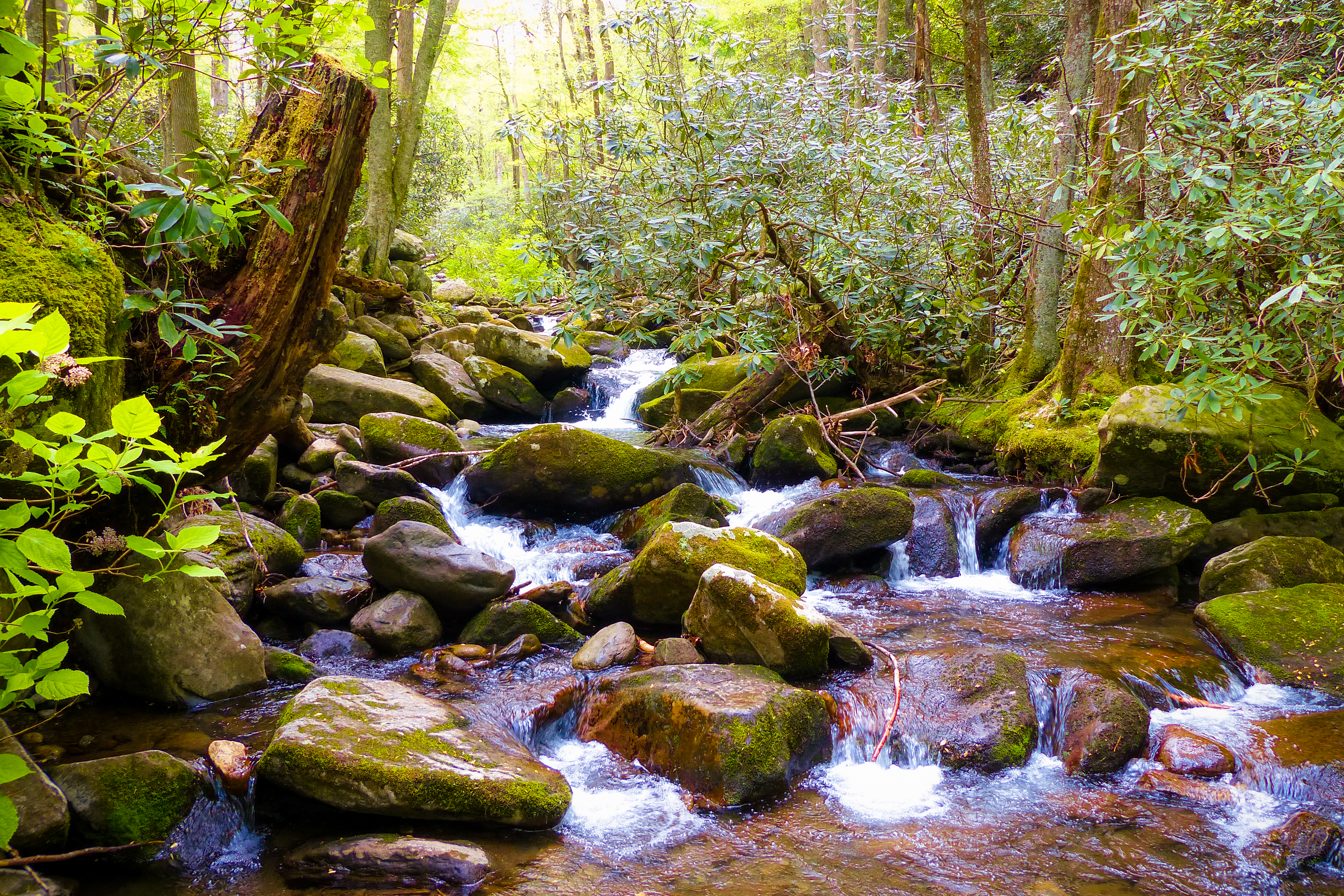 Wallpapers current river nature on the desktop