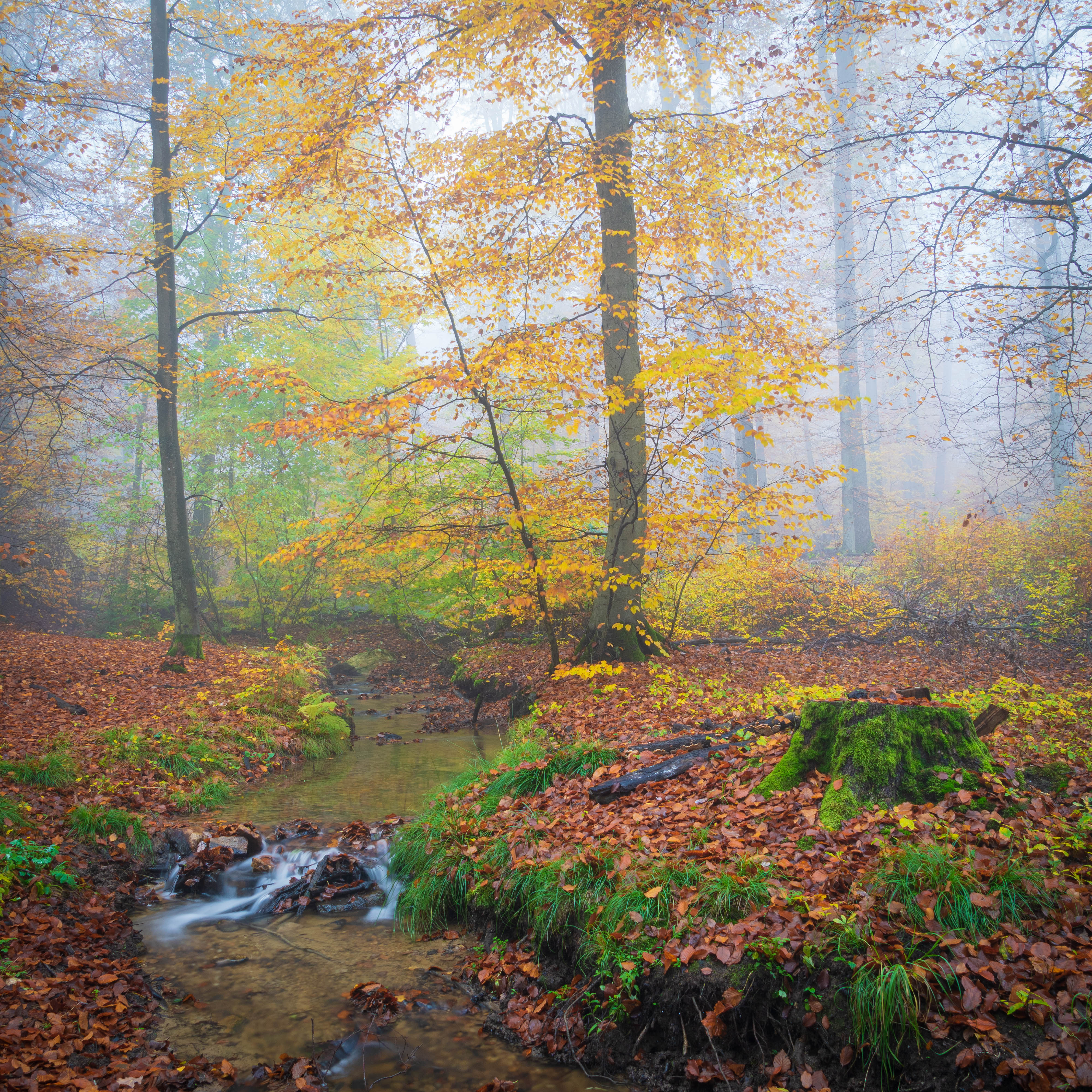 Wallpapers beauty waterfall stream on the desktop