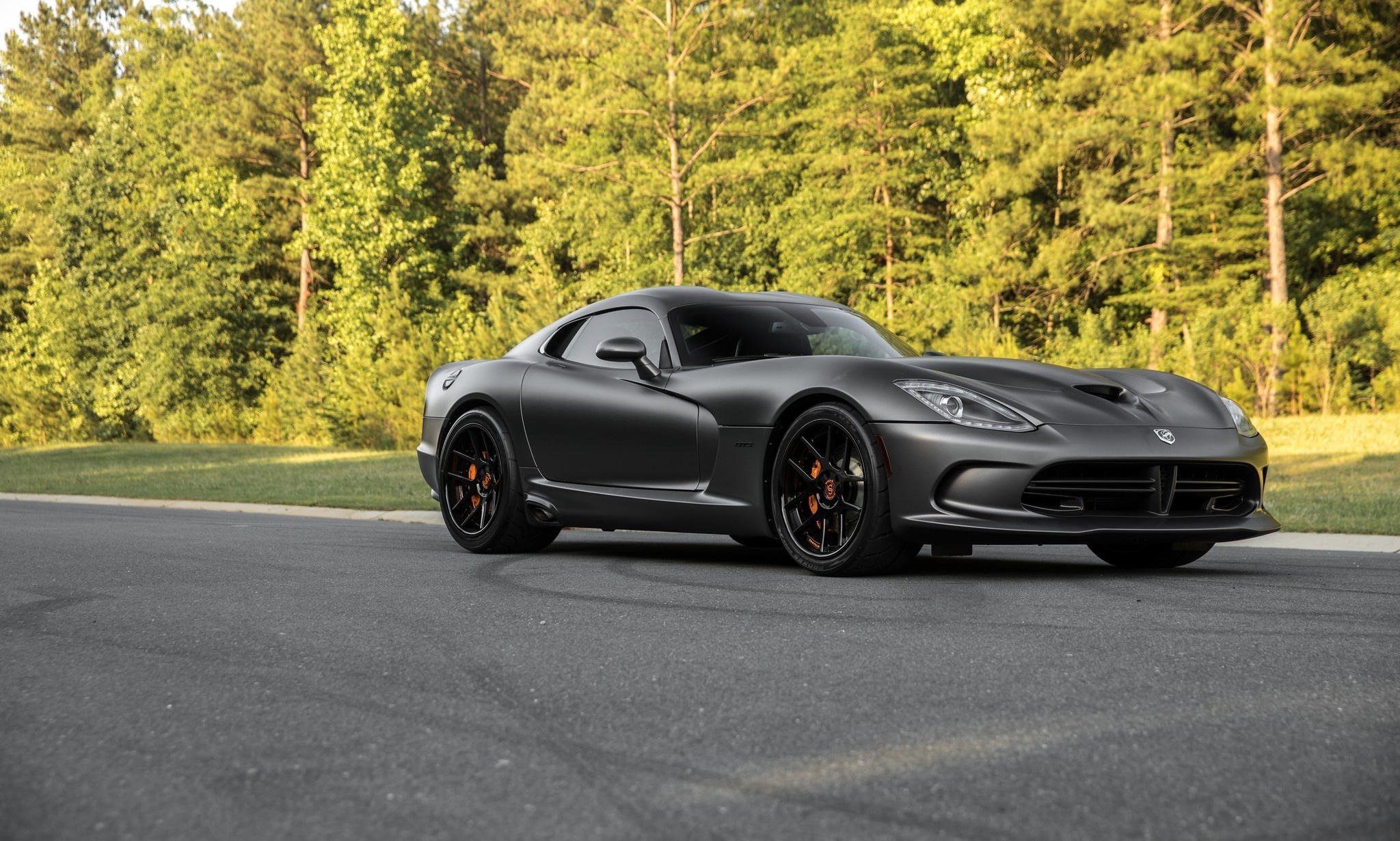 Wallpapers trees silver Dodge Viper GTS on the desktop