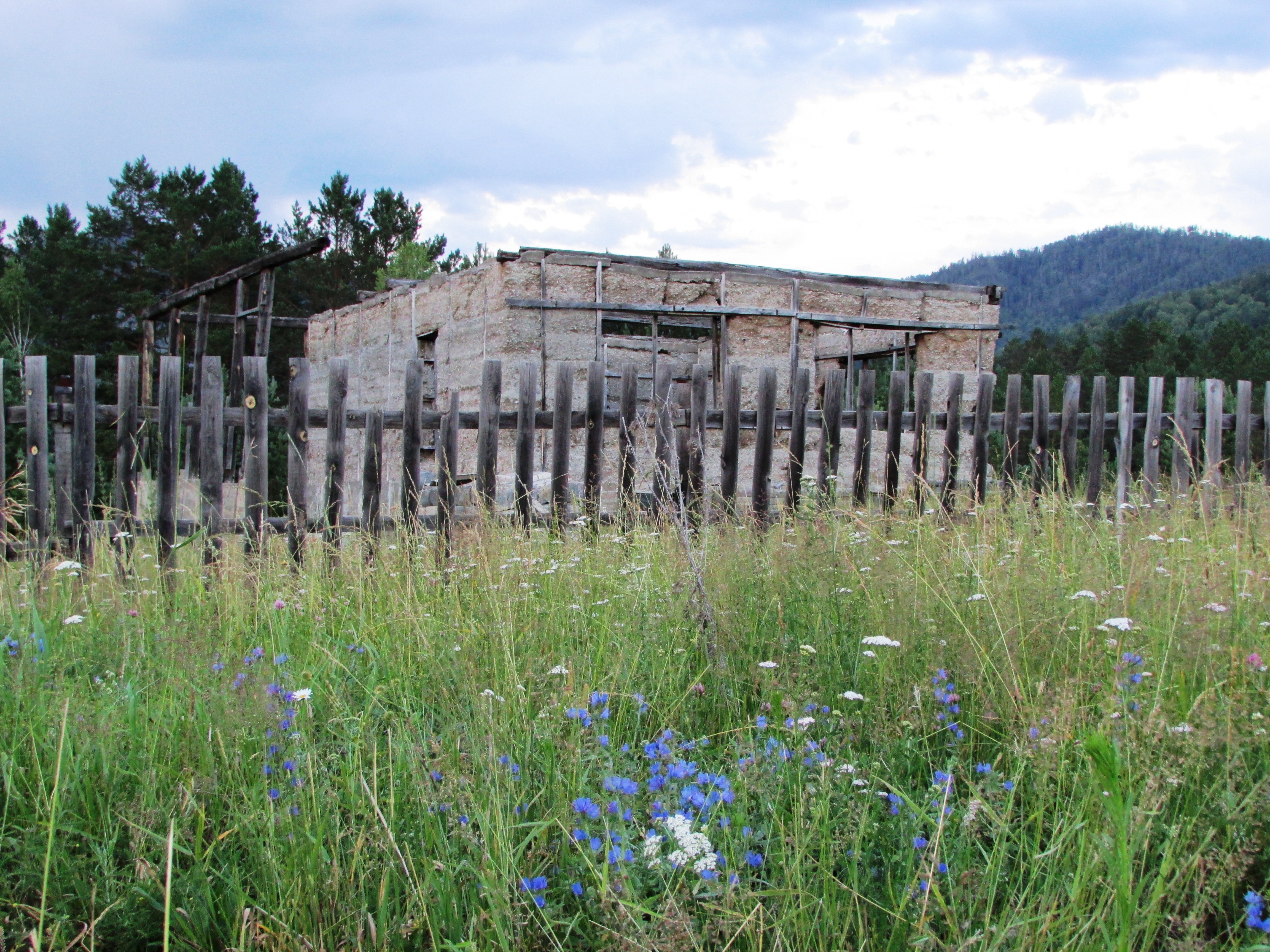 Очень старый, заброшенный дом в Горном Алтае