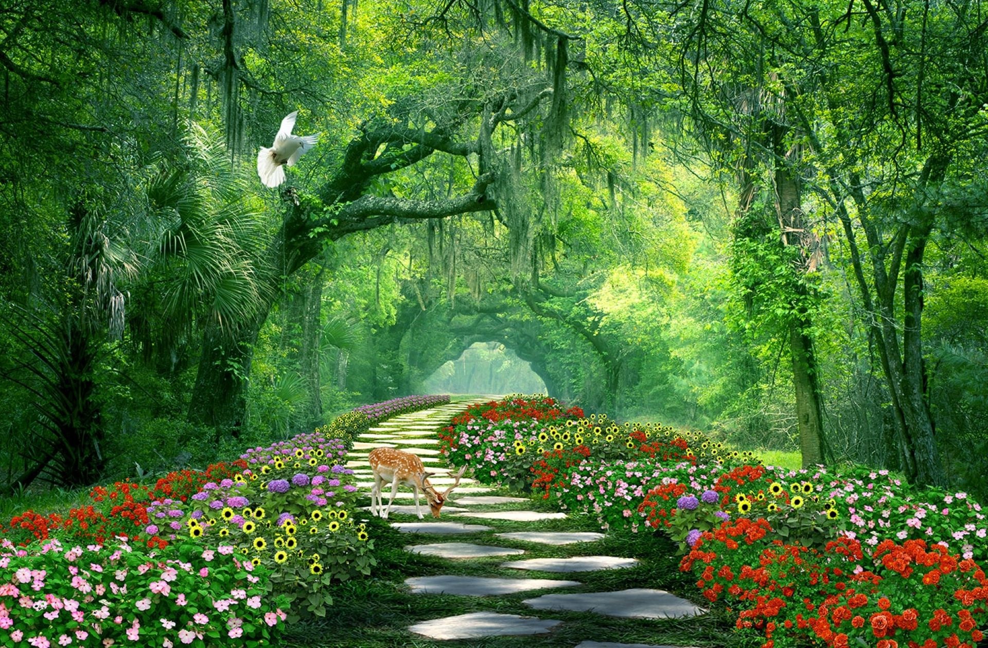 The Road to Magic Land