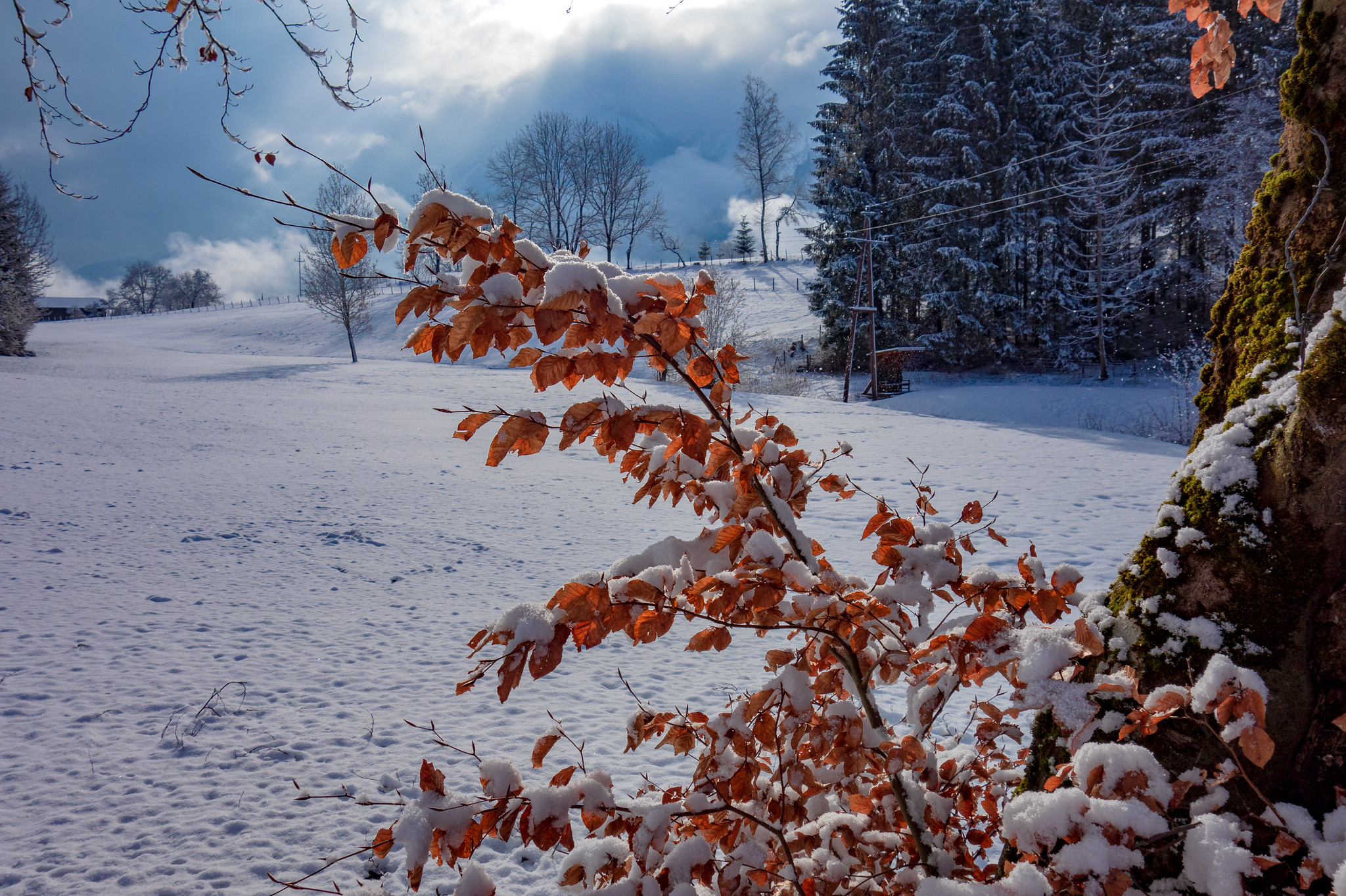 Free photo St. Johann im Pongau - Austria