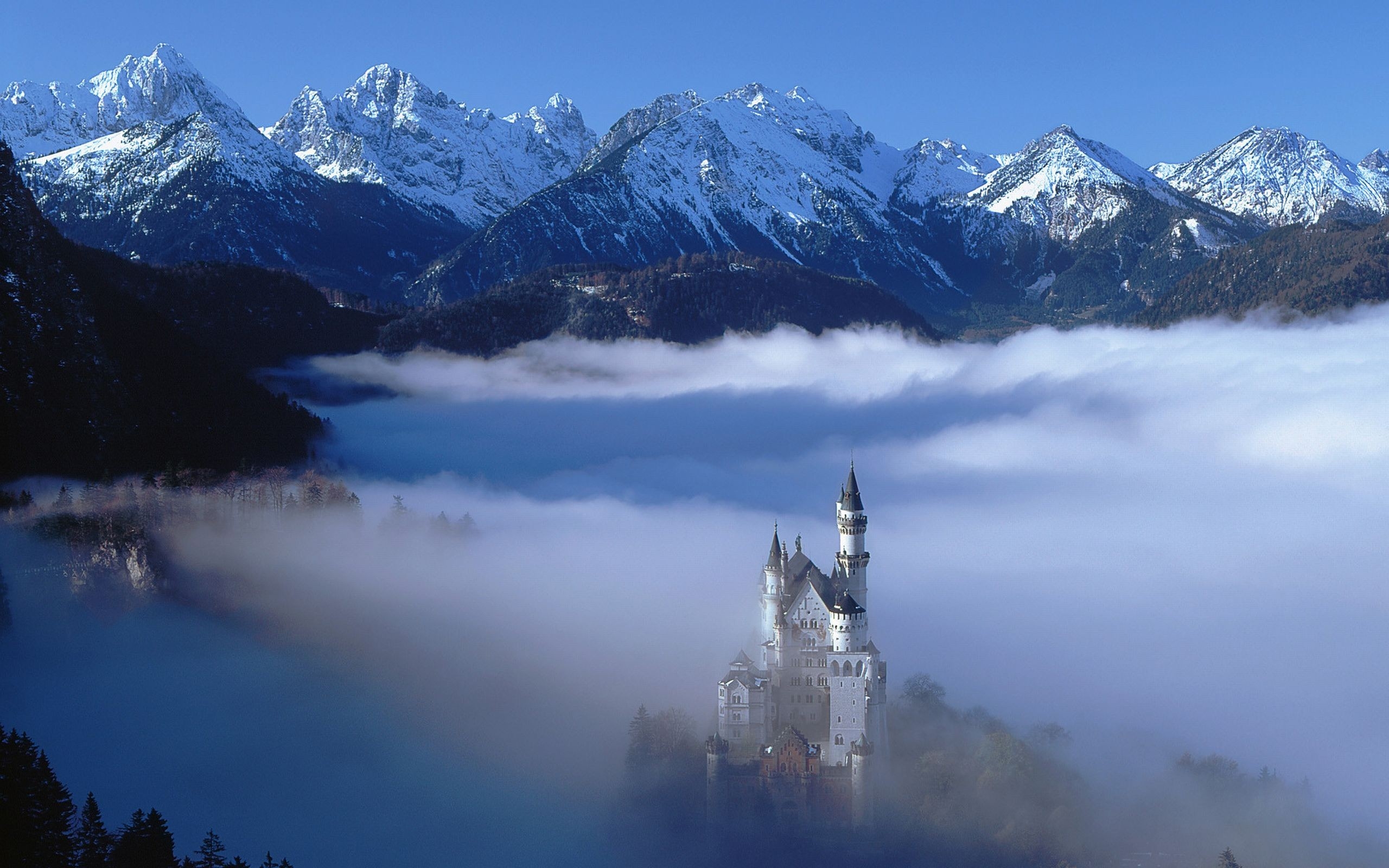 Free photo A castle on a high cliff in the fog