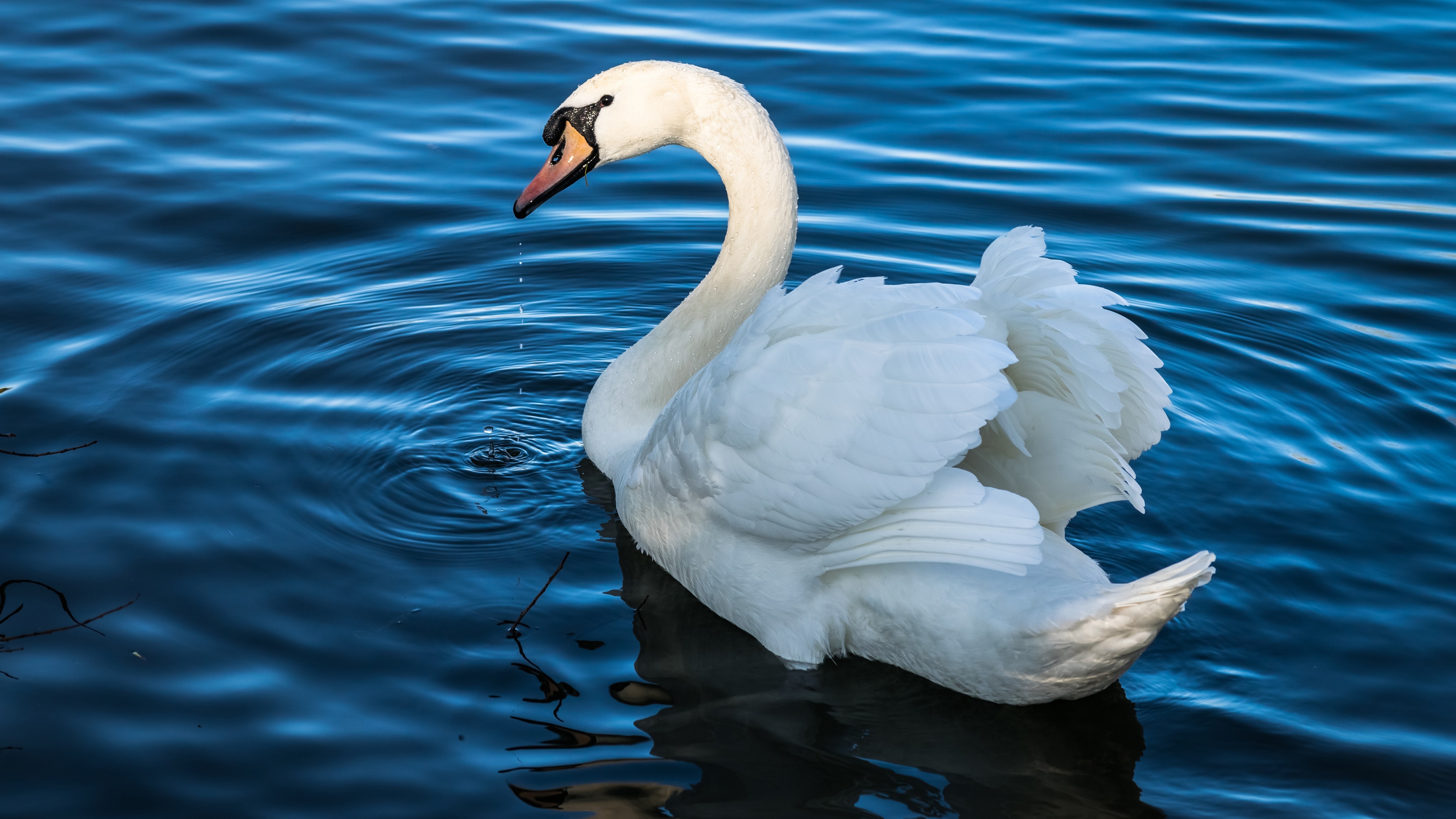 Free photo Alone in the lake