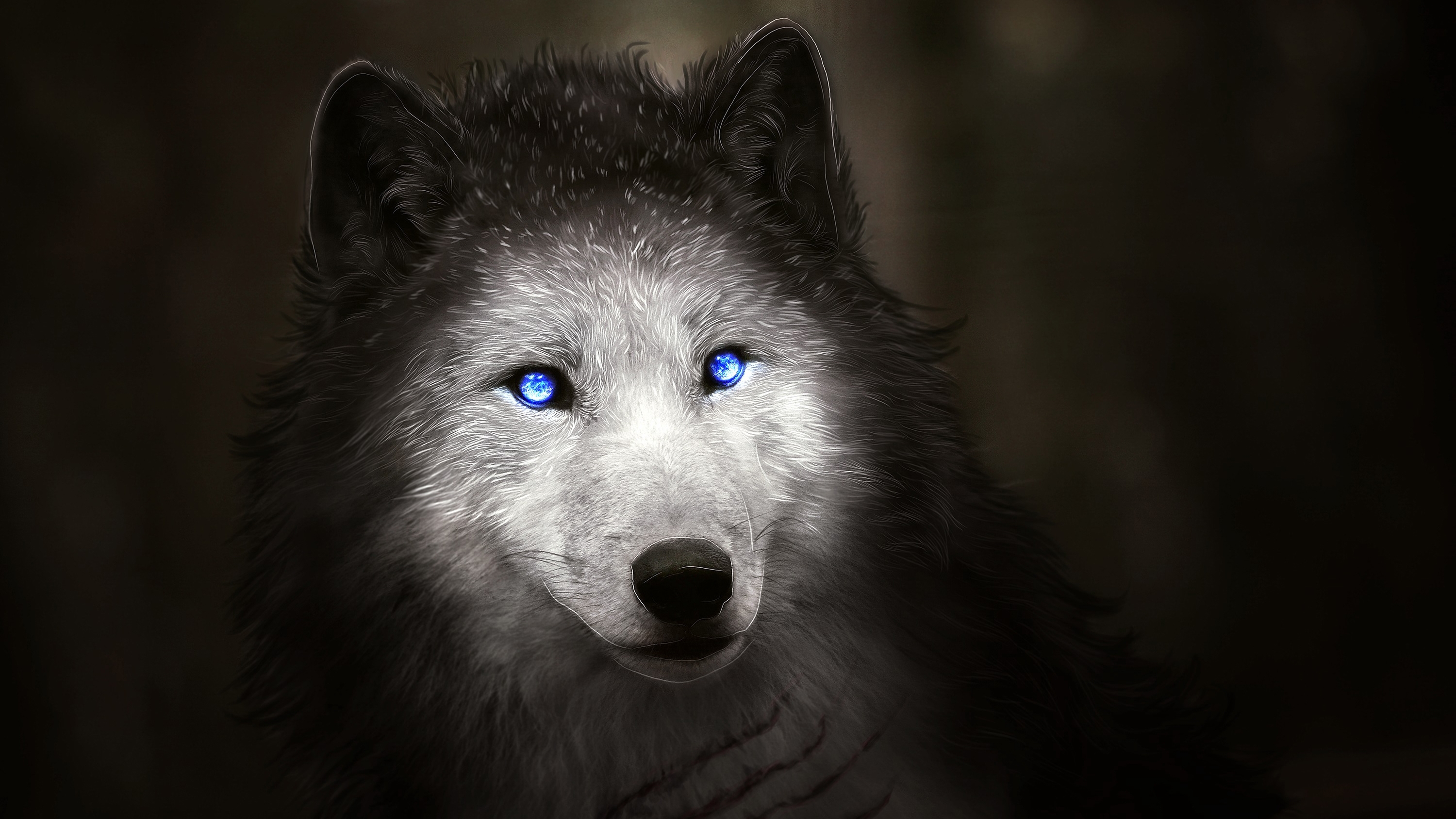 Free photo A rendering of a wolf with blue eyes.